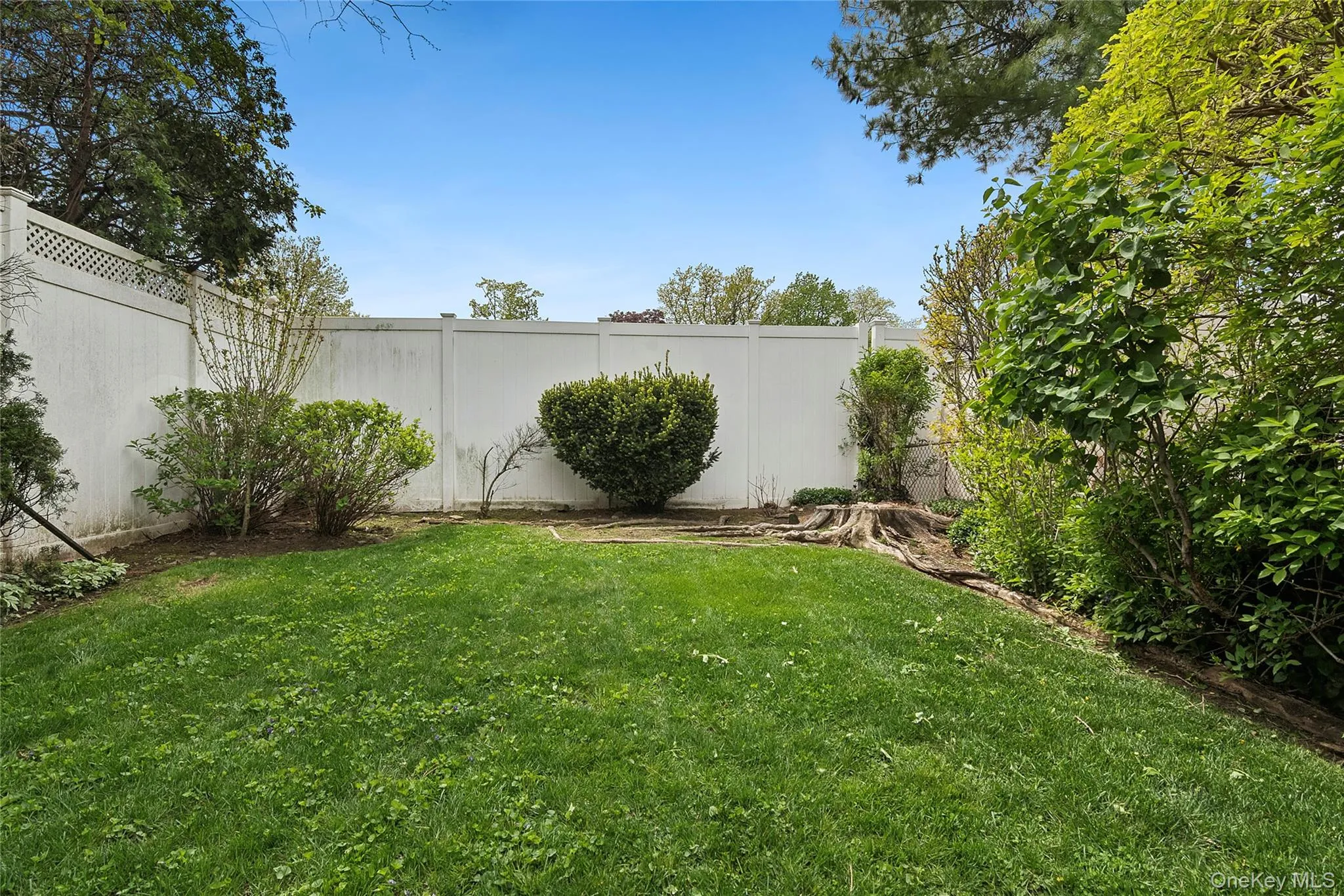 Fenced Backyard Fenced Backyard