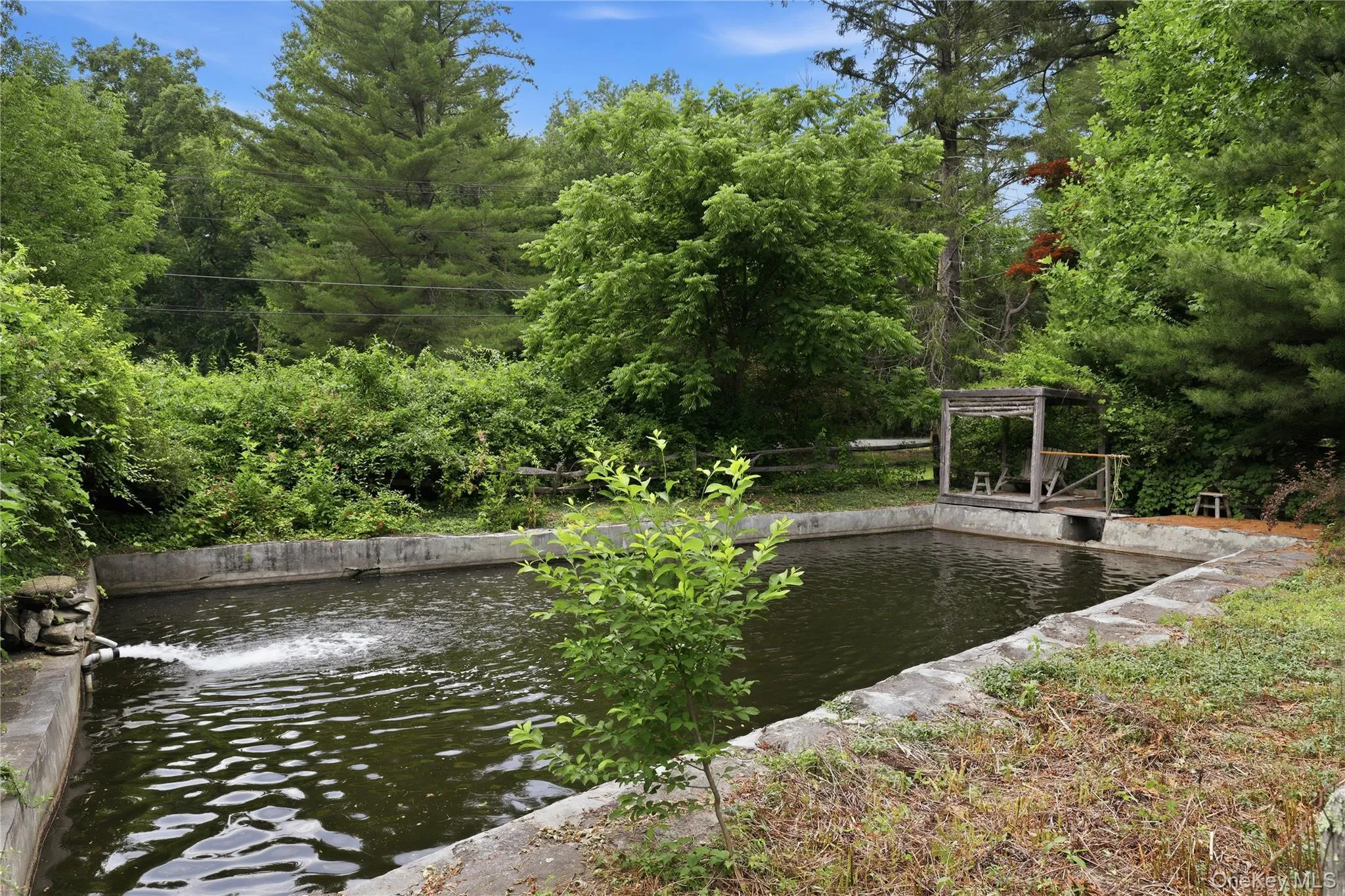 58 Belden Road, Carmel, NY, 7 Bedrooms Bedrooms, 17 Rooms Rooms,4 BathroomsBathrooms,Residential,For Rent,Belden,0,989031 58 Belden Road, Carmel, NY, 7 Bedrooms Bedrooms, 17 Rooms Rooms,4 BathroomsBathrooms,Residential,For Rent,Belden,0,989031