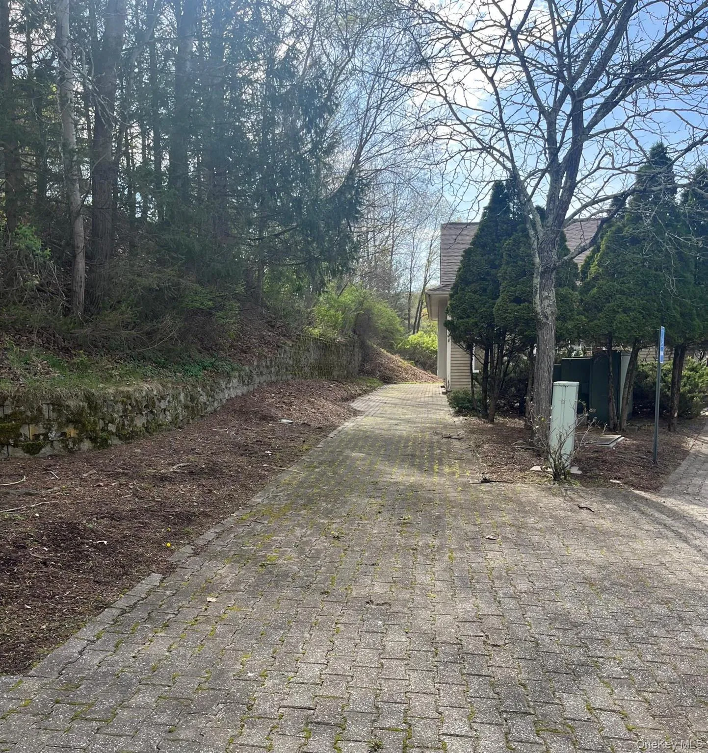 Interlocking paver driveway and walkway Interlocking paver driveway and walkway