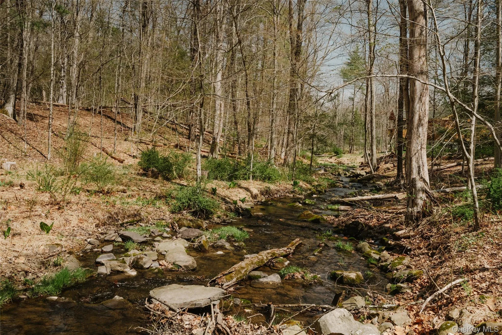 Creek on Property Creek on Property