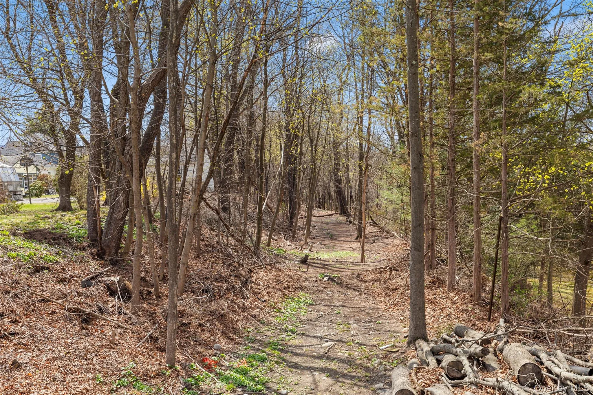 View of additional 0.88 acres of land View of additional 0.88 acres of land