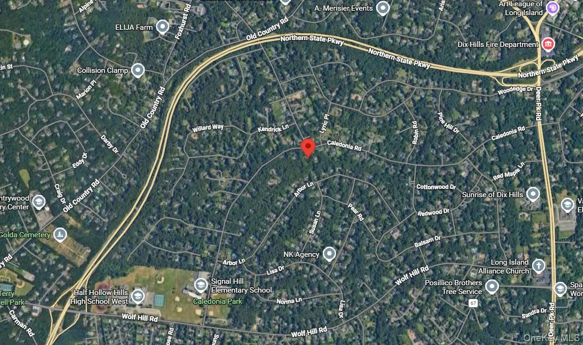 601 Caledonia Road, Huntington, NY, ,Land,For Rent,Caledonia,0,989379 601 Caledonia Road, Huntington, NY, ,Land,For Rent,Caledonia,0,989379