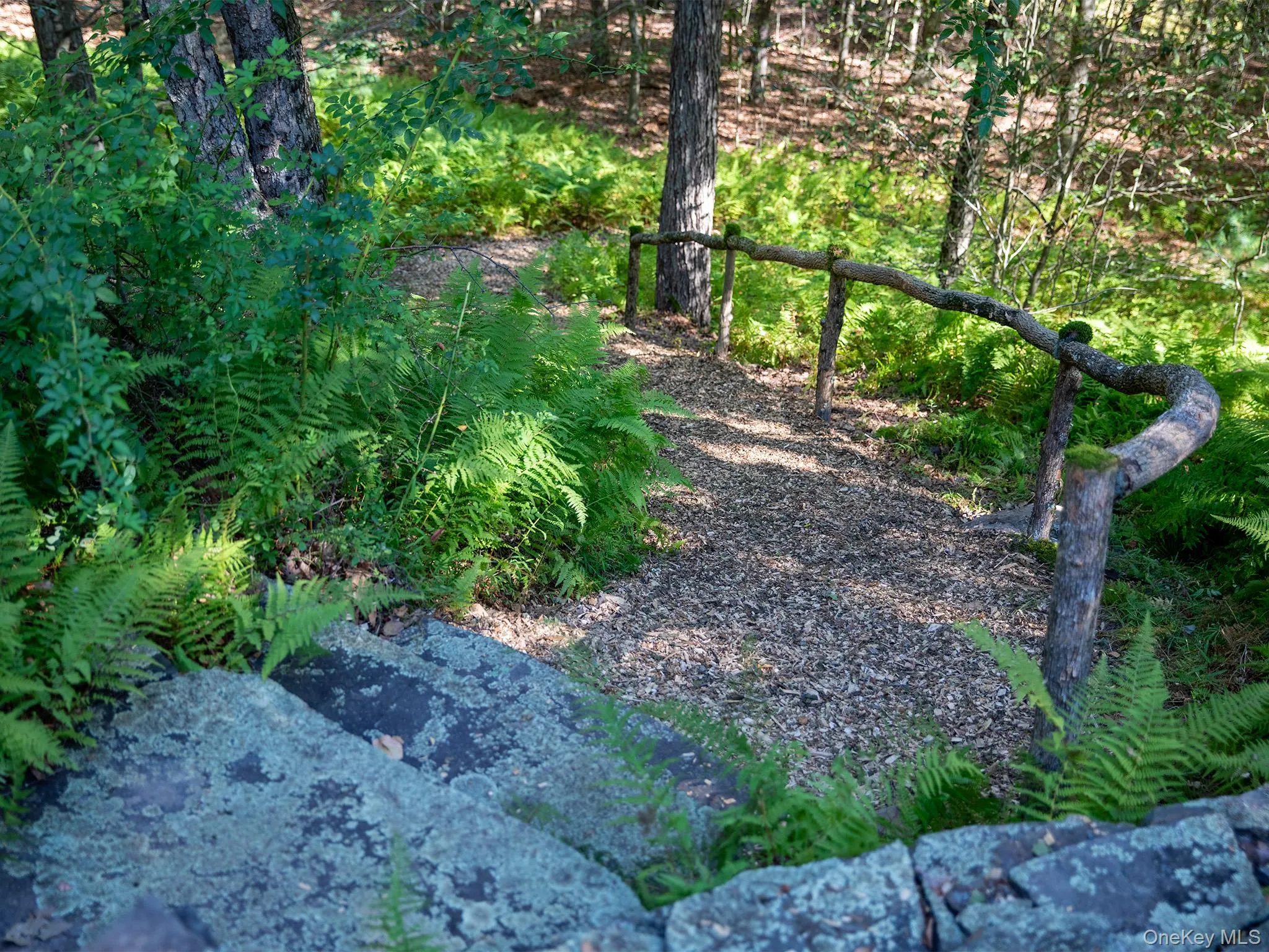 View of local wilderness View of local wilderness