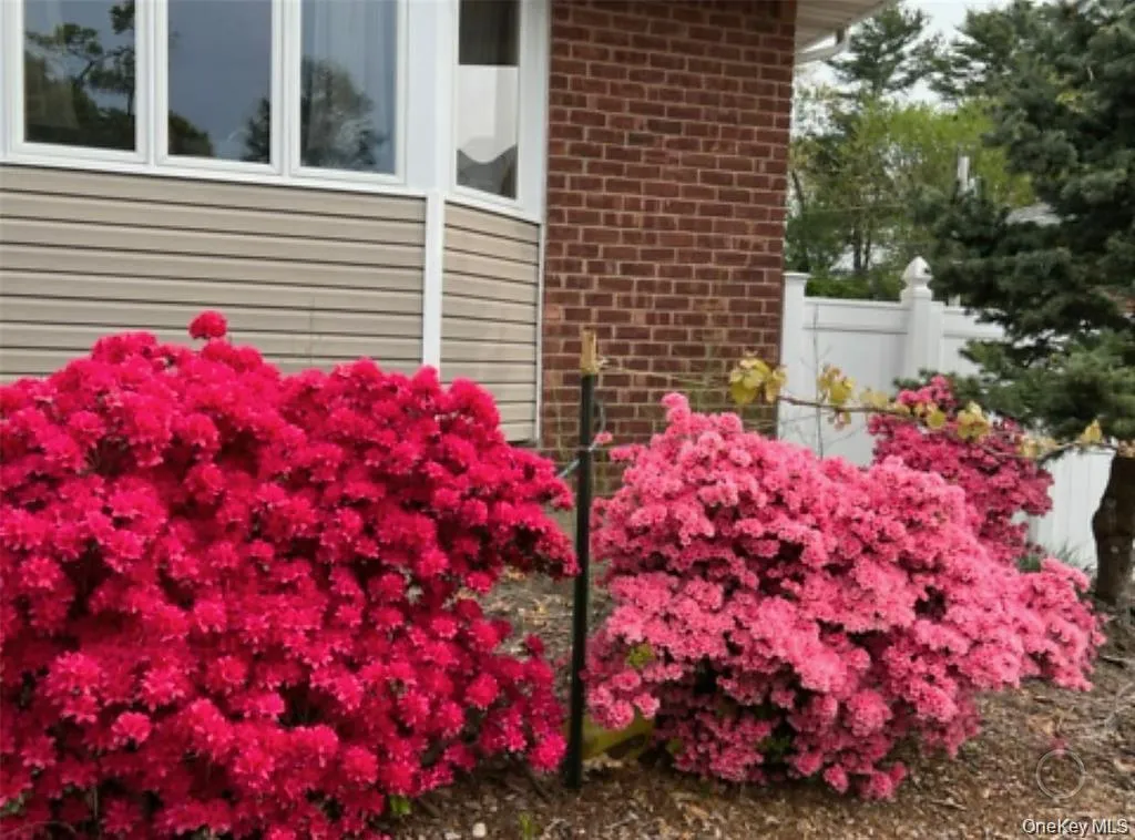 35 Hicks Avenue, Oyster Bay, NY, 4 Bedrooms Bedrooms, 7 Rooms Rooms,2 BathroomsBathrooms,Residential Lease,For Rent,Hicks,0,989404 35 Hicks Avenue, Oyster Bay, NY, 4 Bedrooms Bedrooms, 7 Rooms Rooms,2 BathroomsBathrooms,Residential Lease,For Rent,Hicks,0,989404