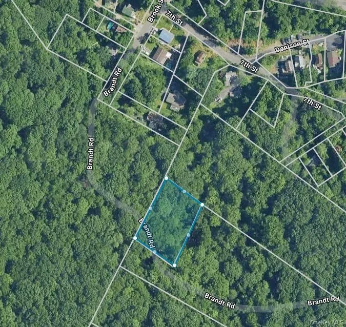 19 Brandt Road, Ramapo, NY, ,Land,For Rent,Brandt,0,989405 19 Brandt Road, Ramapo, NY, ,Land,For Rent,Brandt,0,989405