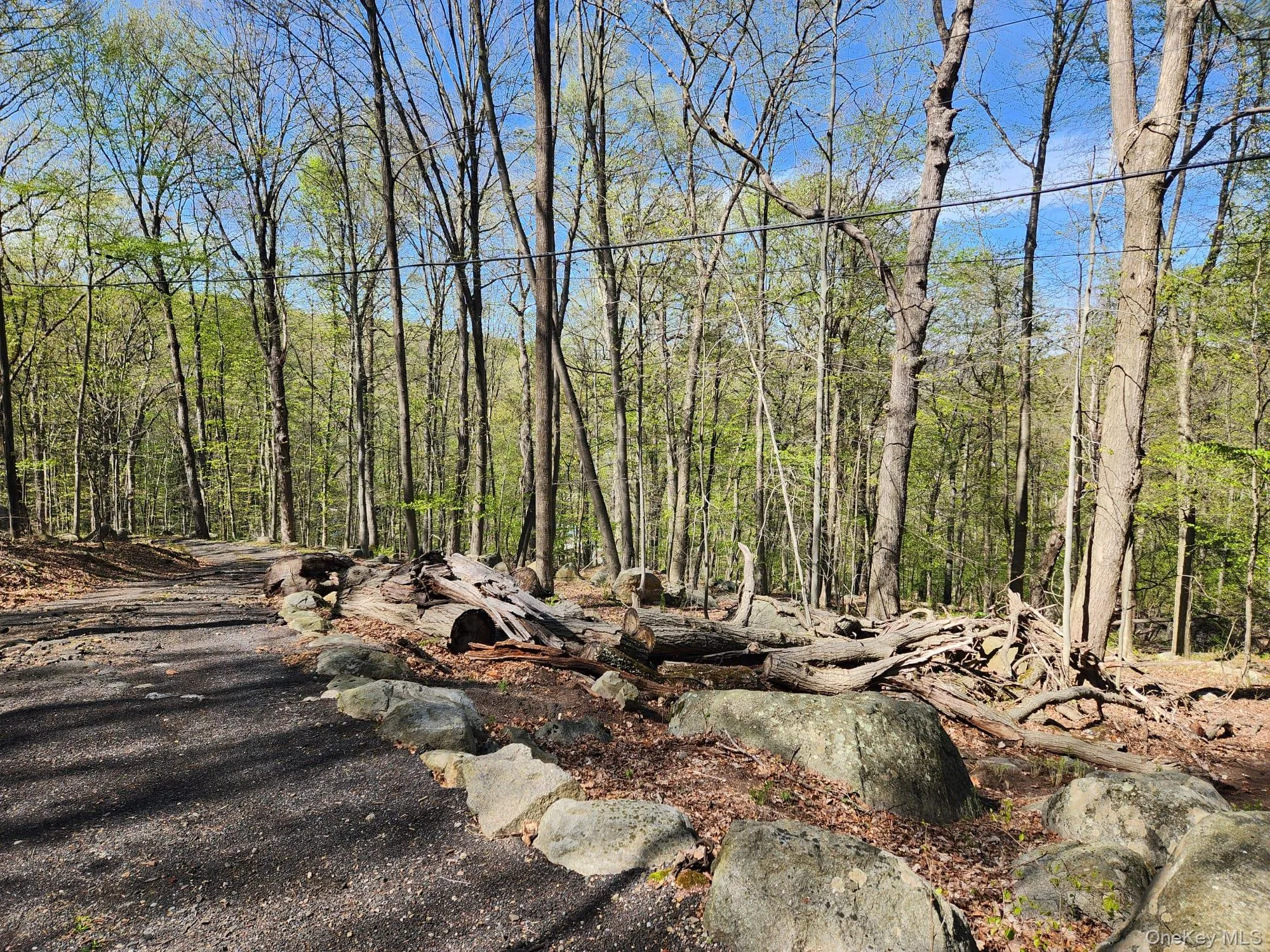 19 Brandt Road, Ramapo, NY, ,Land,For Rent,Brandt,0,989405 19 Brandt Road, Ramapo, NY, ,Land,For Rent,Brandt,0,989405