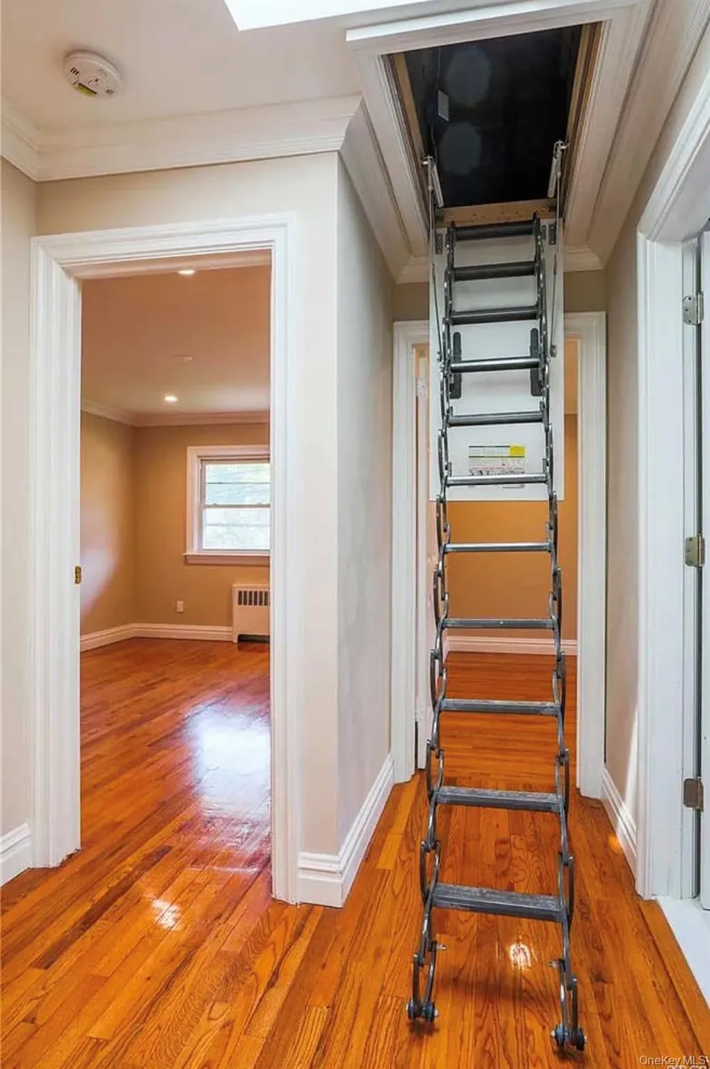 31 Edgemere Drive, North Hempstead, NY, 4 Bedrooms Bedrooms, 7 Rooms Rooms,2 BathroomsBathrooms,Residential,For Rent,Edgemere,0,989412 31 Edgemere Drive, North Hempstead, NY, 4 Bedrooms Bedrooms, 7 Rooms Rooms,2 BathroomsBathrooms,Residential,For Rent,Edgemere,0,989412
