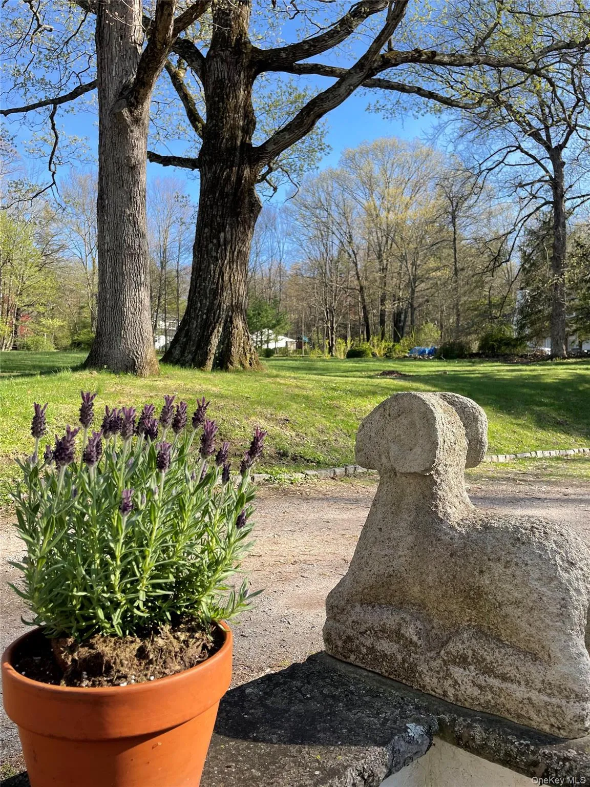 12 Pine Hill Road, Tuxedo, NY, 3 Bedrooms Bedrooms, 7 Rooms Rooms,2 BathroomsBathrooms,Residential Lease,For Rent,Pine Hill,0,989465 12 Pine Hill Road, Tuxedo, NY, 3 Bedrooms Bedrooms, 7 Rooms Rooms,2 BathroomsBathrooms,Residential Lease,For Rent,Pine Hill,0,989465