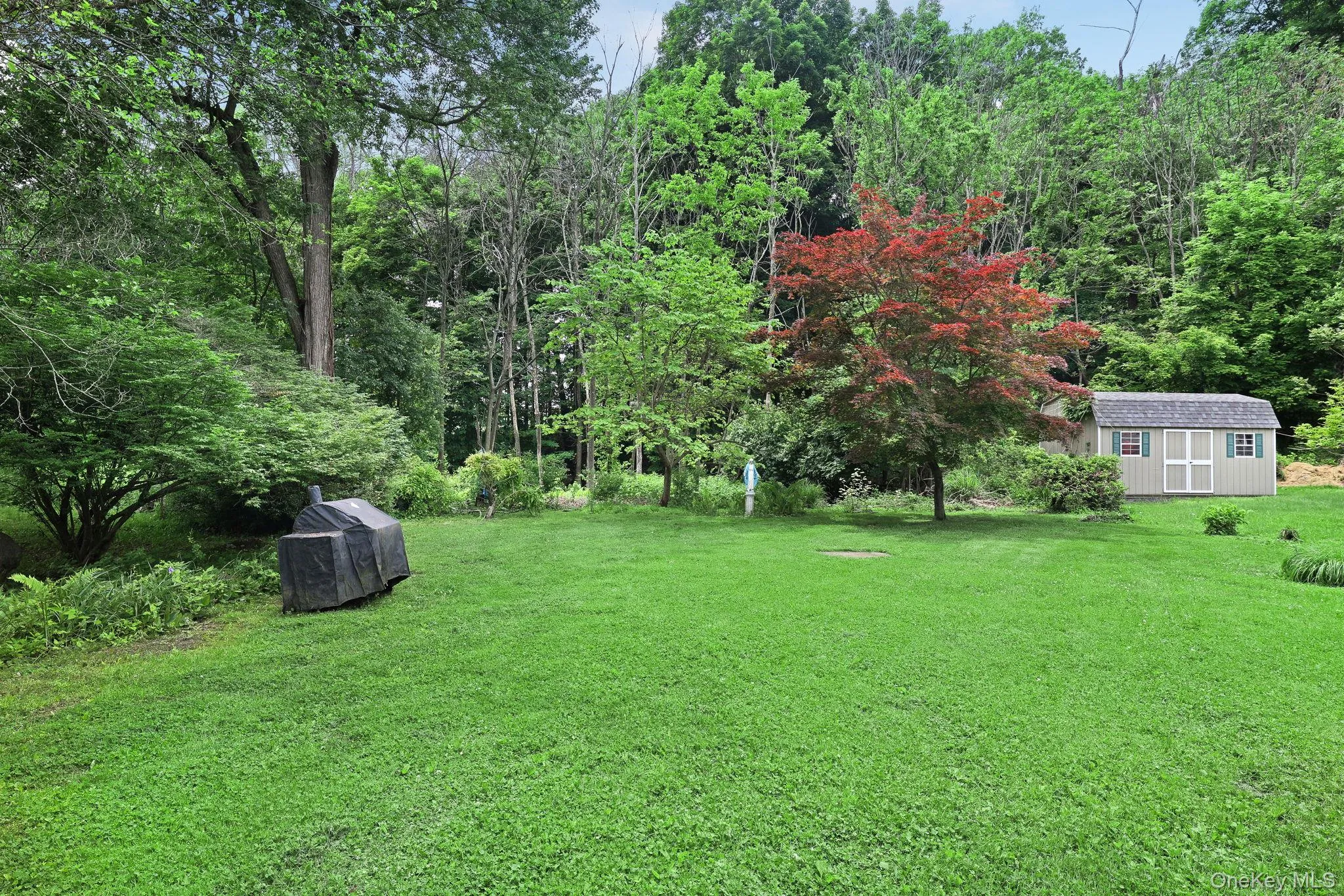 43 Wintergreen Avenue, Newburgh (town), NY, 4 Bedrooms Bedrooms, 8 Rooms Rooms,3 BathroomsBathrooms,Residential,For Rent,Wintergreen,0,989467 43 Wintergreen Avenue, Newburgh (town), NY, 4 Bedrooms Bedrooms, 8 Rooms Rooms,3 BathroomsBathrooms,Residential,For Rent,Wintergreen,0,989467