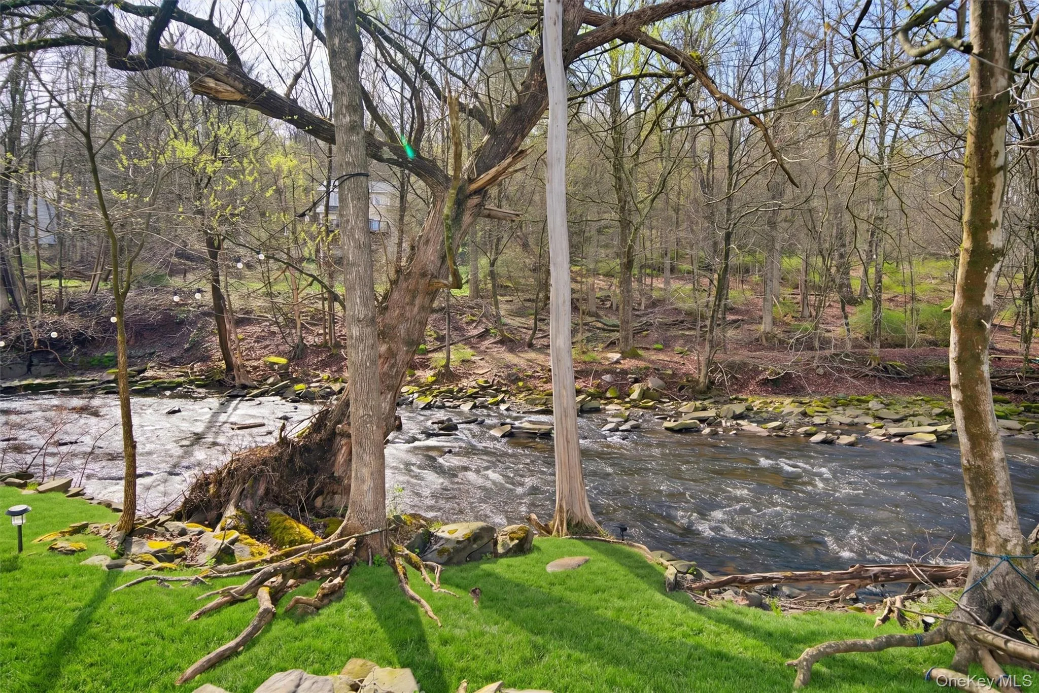4929 State Route 52, Delaware, NY, 3 Bedrooms Bedrooms, 8 Rooms Rooms,1 BathroomBathrooms,Residential,For Rent,State Route 52,0,989485 4929 State Route 52, Delaware, NY, 3 Bedrooms Bedrooms, 8 Rooms Rooms,1 BathroomBathrooms,Residential,For Rent,State Route 52,0,989485