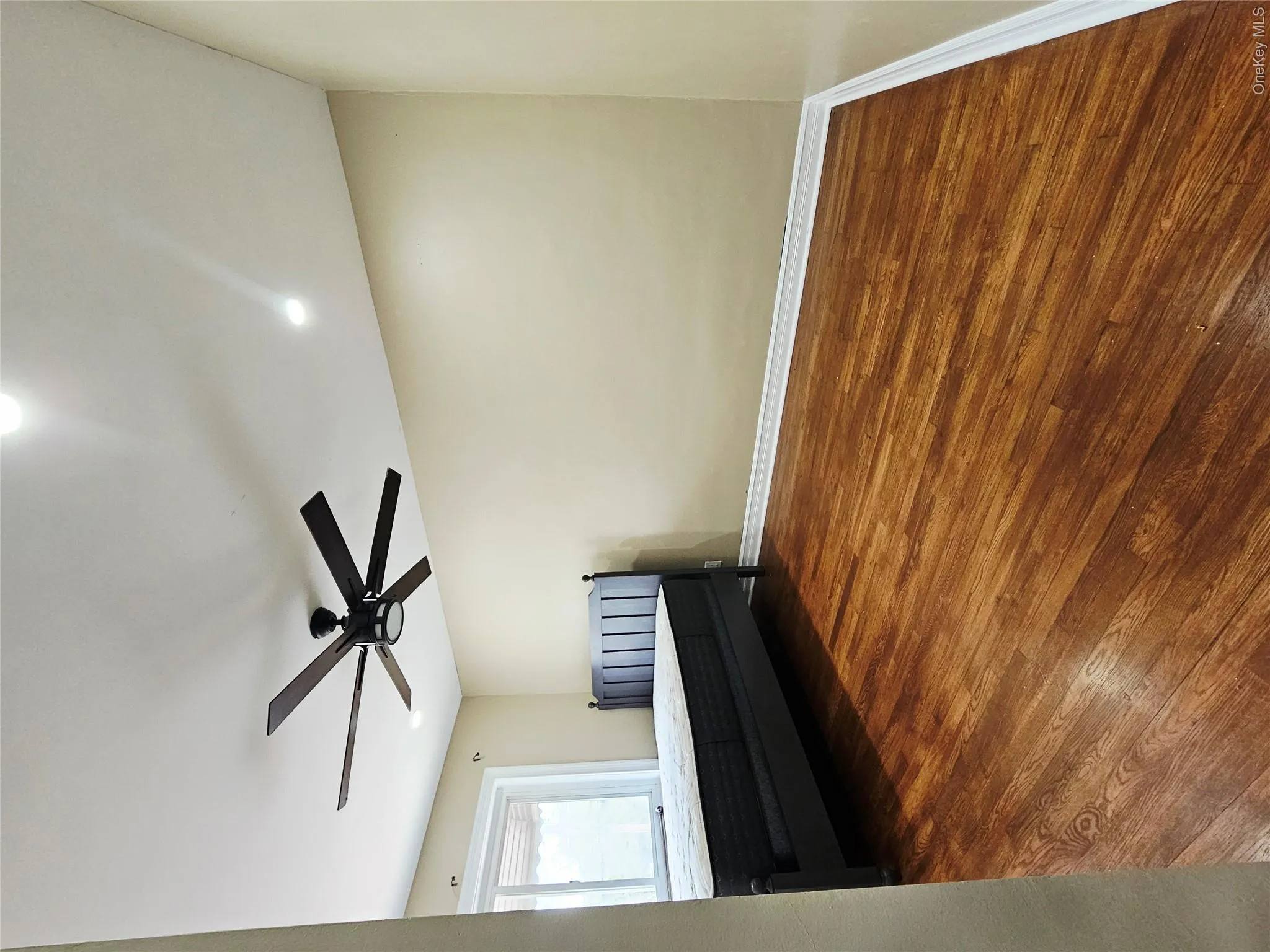 2082 Pitman Avenue, New York, NY, 3 Bedrooms Bedrooms, 7 Rooms Rooms,1 BathroomBathrooms,Residential Lease,For Rent,Pitman,0,989506 2082 Pitman Avenue, New York, NY, 3 Bedrooms Bedrooms, 7 Rooms Rooms,1 BathroomBathrooms,Residential Lease,For Rent,Pitman,0,989506