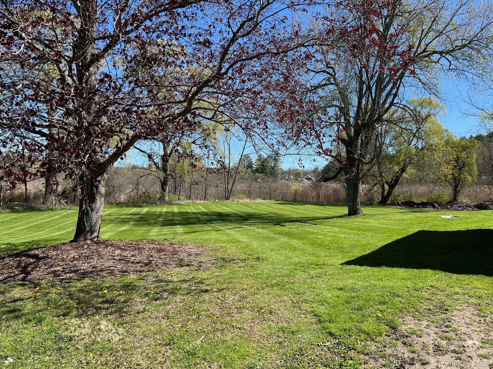 24 Wilson Eaton Road, Amenia, NY, 3 Bedrooms Bedrooms, 7 Rooms Rooms,1 BathroomBathrooms,Residential,For Rent,Wilson Eaton,0,989555 24 Wilson Eaton Road, Amenia, NY, 3 Bedrooms Bedrooms, 7 Rooms Rooms,1 BathroomBathrooms,Residential,For Rent,Wilson Eaton,0,989555