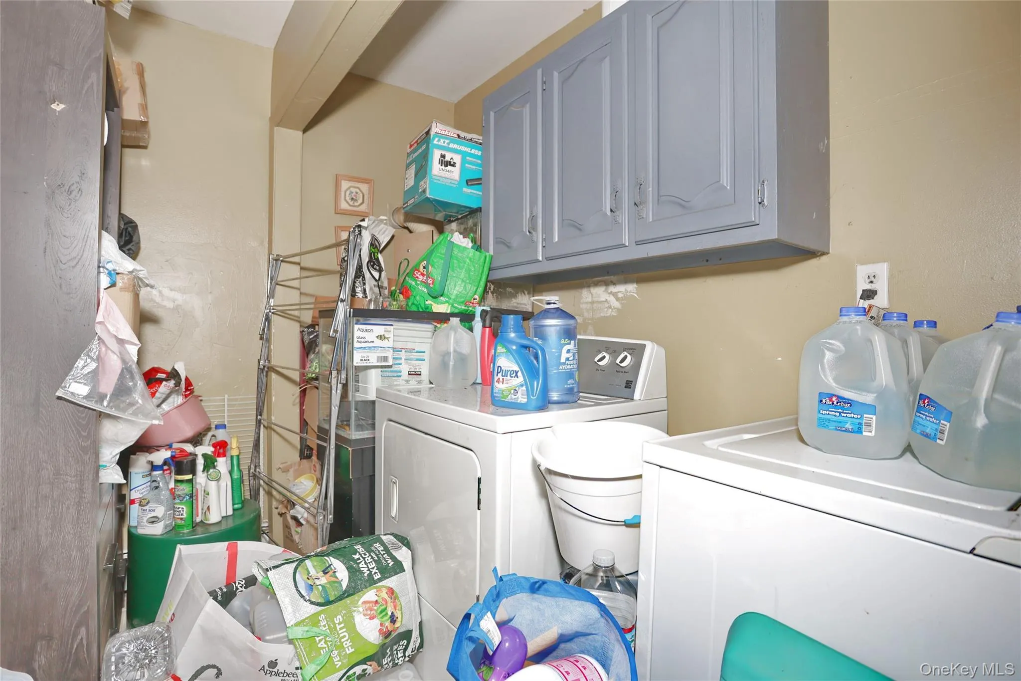 31 Lillian Street, Haverstraw, NY, 3 Bedrooms Bedrooms, 4 Rooms Rooms,1 BathroomBathrooms,Residential,For Rent,Lillian,0,989566 31 Lillian Street, Haverstraw, NY, 3 Bedrooms Bedrooms, 4 Rooms Rooms,1 BathroomBathrooms,Residential,For Rent,Lillian,0,989566