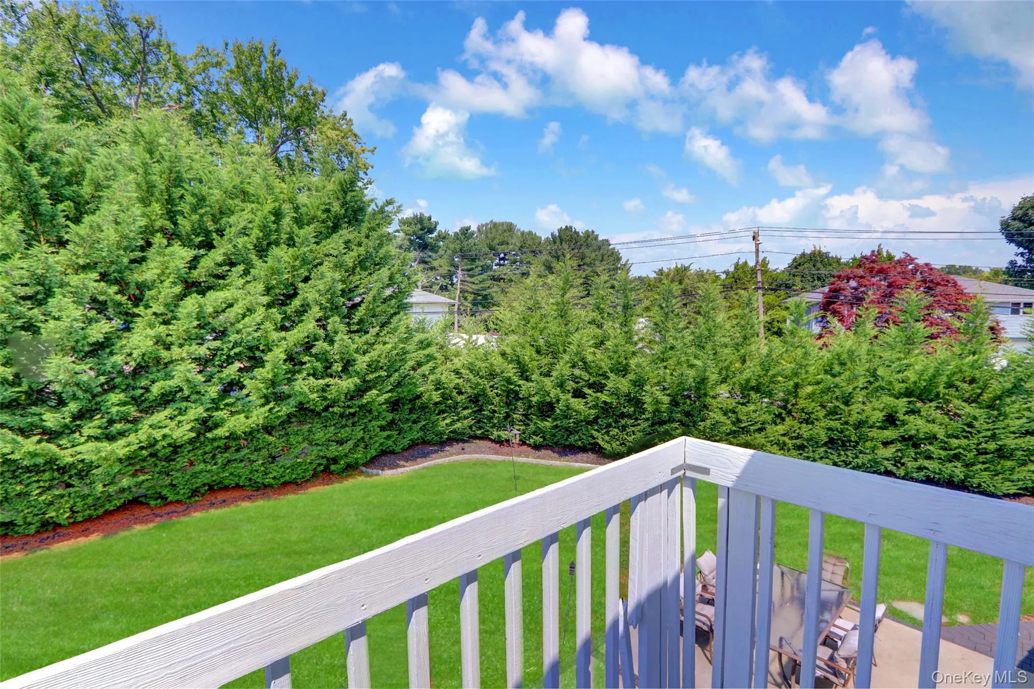 Expansive green lawn bordered by mature evergreen shrubs, offering a private outdoor space Expansive green lawn bordered by mature evergreen shrubs, offering a private outdoor space