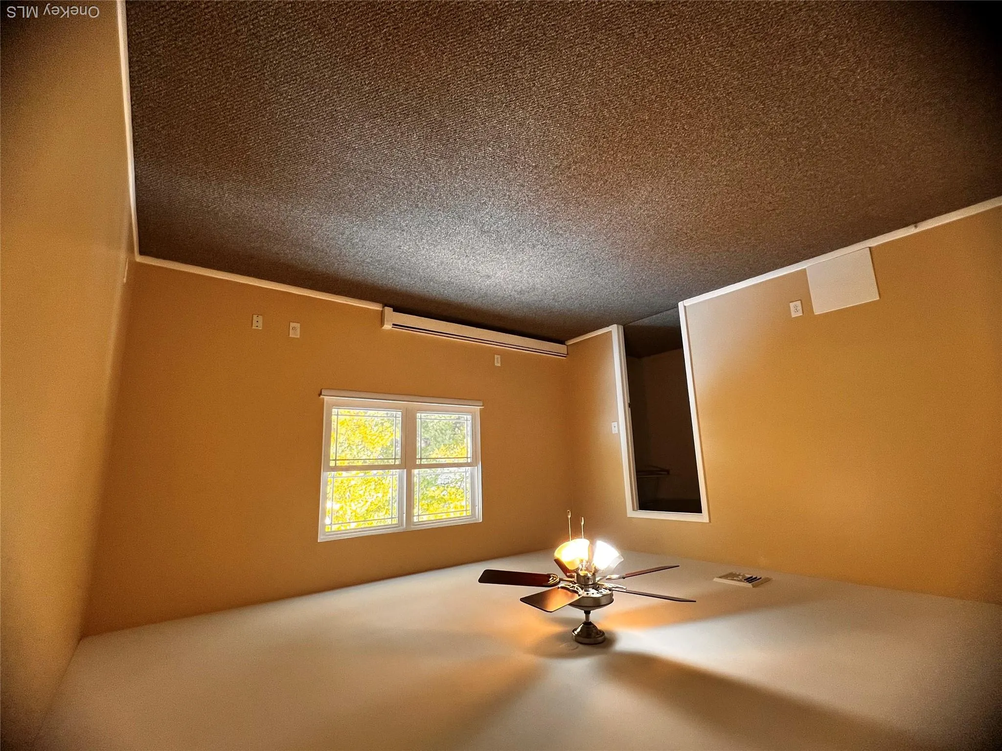 Carpeted spare room featuring a baseboard radiator and ceiling fan Carpeted spare room featuring a baseboard radiator and ceiling fan