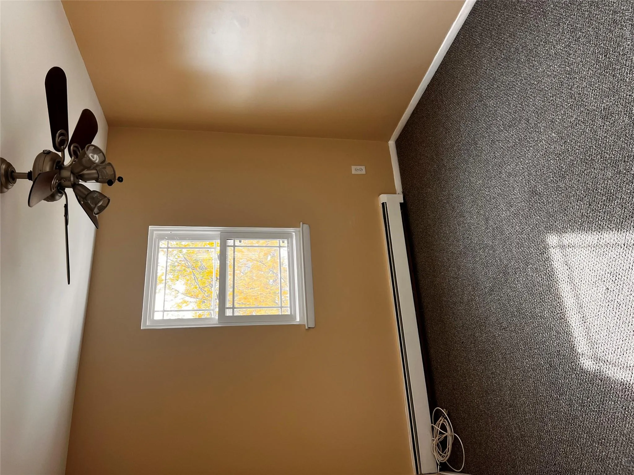 Carpeted spare room with baseboard heating and ceiling fan Carpeted spare room with baseboard heating and ceiling fan