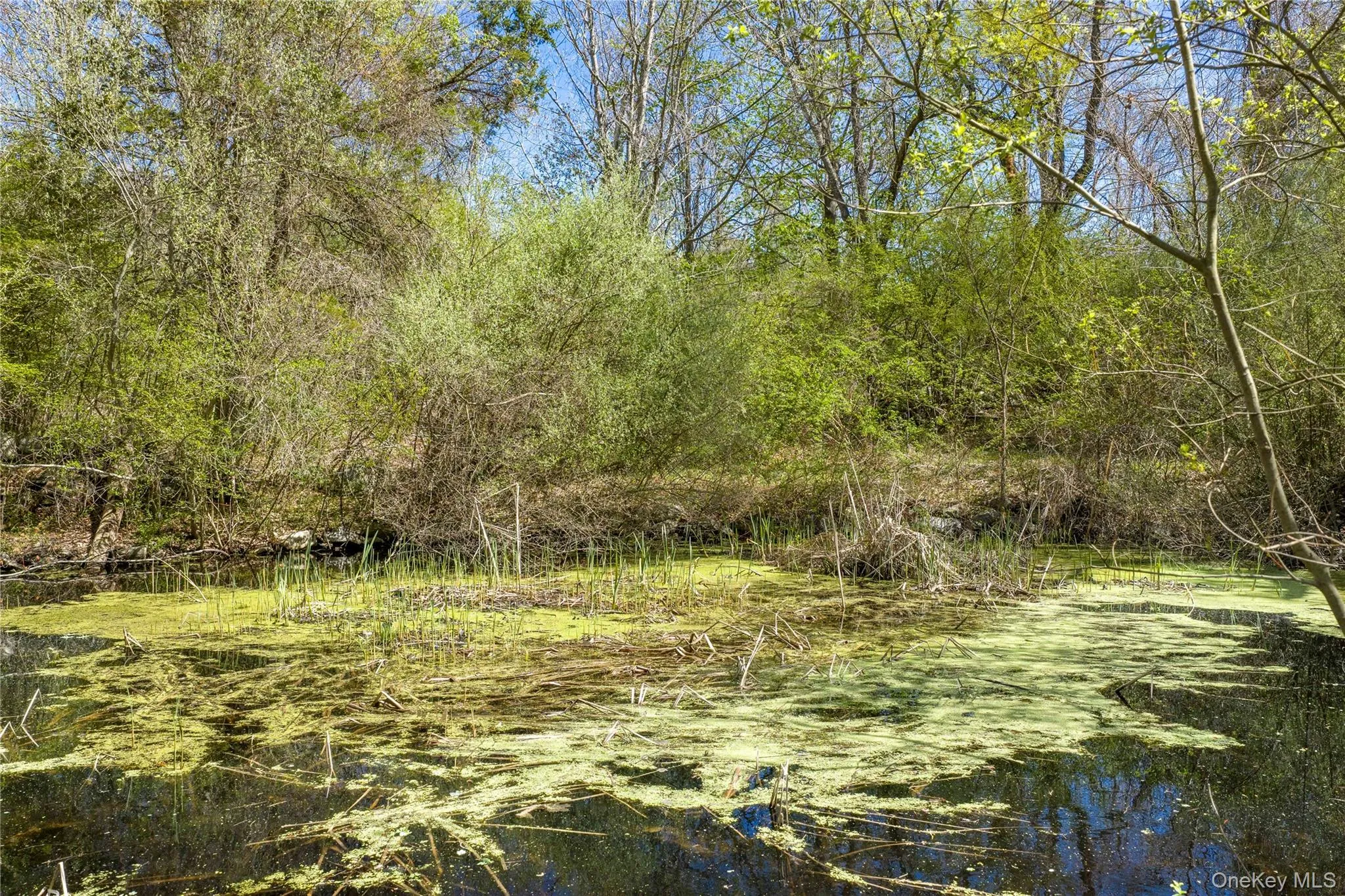 103 Harmony Hill Road, Pawling, NY, 3 Bedrooms Bedrooms, 8 Rooms Rooms,3 BathroomsBathrooms,Residential,For Rent,Harmony Hill,0,989668 103 Harmony Hill Road, Pawling, NY, 3 Bedrooms Bedrooms, 8 Rooms Rooms,3 BathroomsBathrooms,Residential,For Rent,Harmony Hill,0,989668