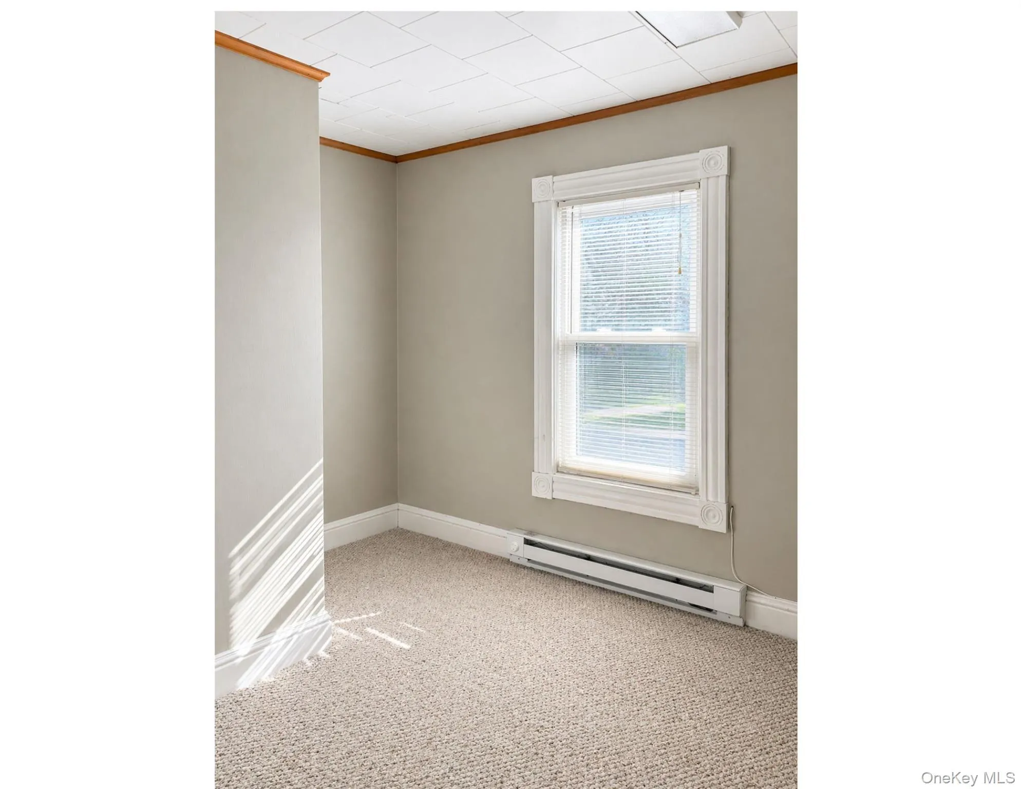 73 Gleneida Avenue, Carmel, NY, ,Commercial Lease,For Rent,Gleneida,0,989823 73 Gleneida Avenue, Carmel, NY, ,Commercial Lease,For Rent,Gleneida,0,989823