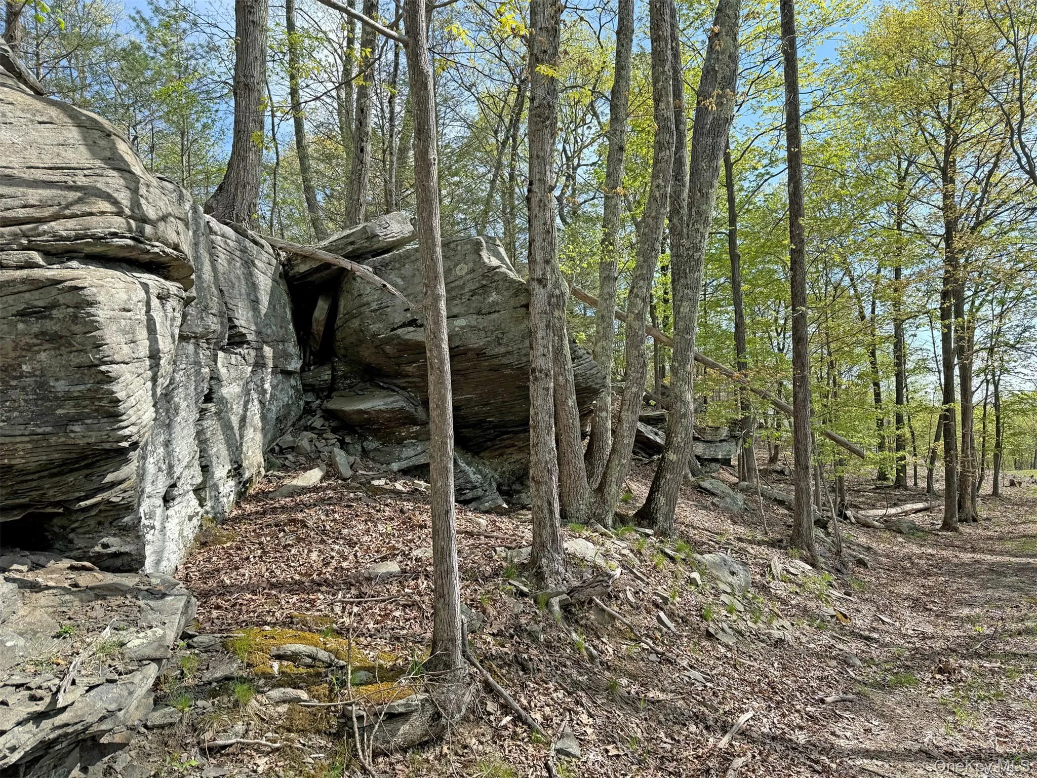 21 Ori's View Drive, Saugerties, NY, 4 Bedrooms Bedrooms, 12 Rooms Rooms,5 BathroomsBathrooms,Residential,For Rent,Ori's View,0,989855 21 Ori's View Drive, Saugerties, NY, 4 Bedrooms Bedrooms, 12 Rooms Rooms,5 BathroomsBathrooms,Residential,For Rent,Ori's View,0,989855