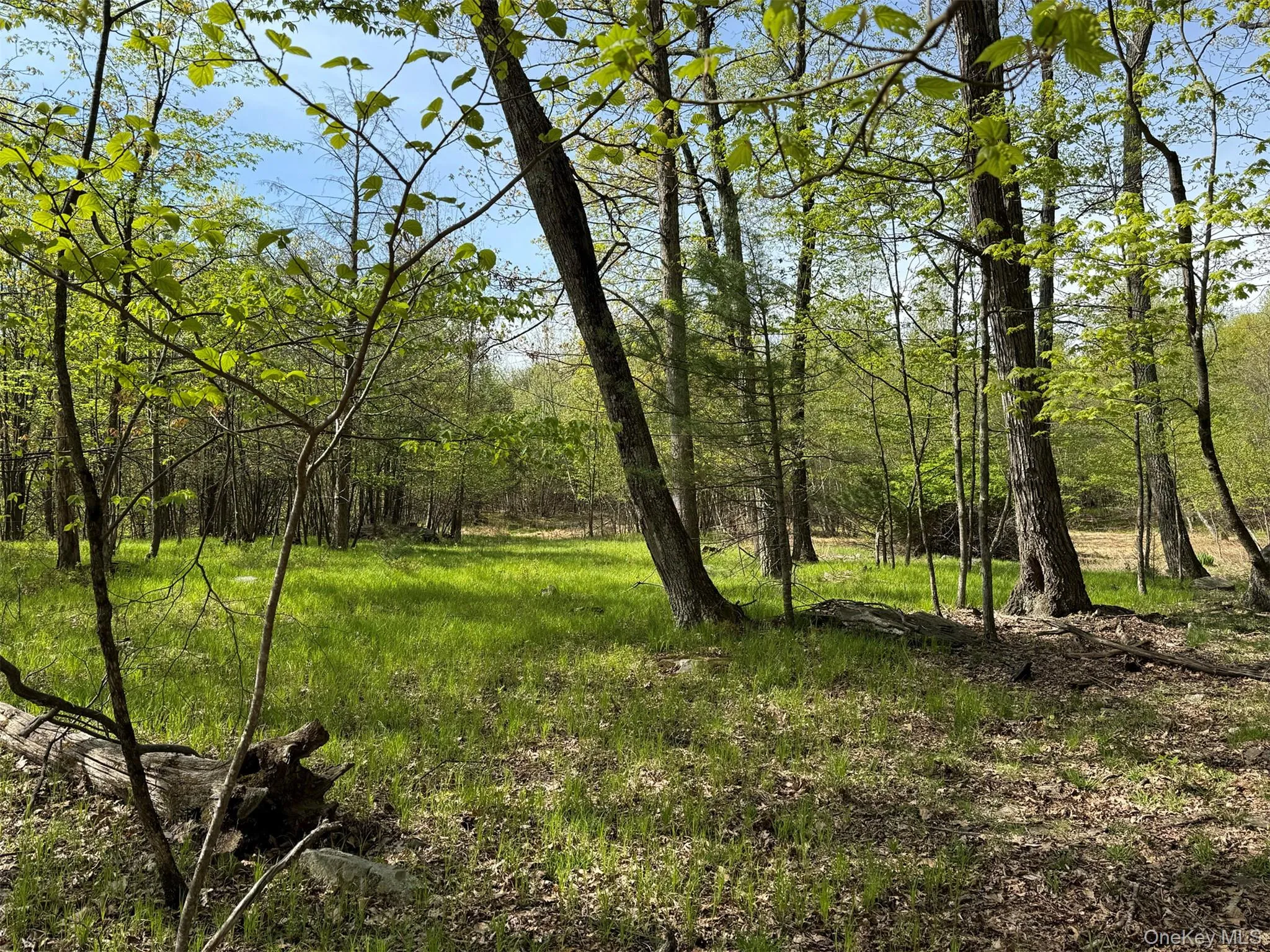 21 Ori's View Drive, Saugerties, NY, 4 Bedrooms Bedrooms, 12 Rooms Rooms,5 BathroomsBathrooms,Residential,For Rent,Ori's View,0,989855 21 Ori's View Drive, Saugerties, NY, 4 Bedrooms Bedrooms, 12 Rooms Rooms,5 BathroomsBathrooms,Residential,For Rent,Ori's View,0,989855