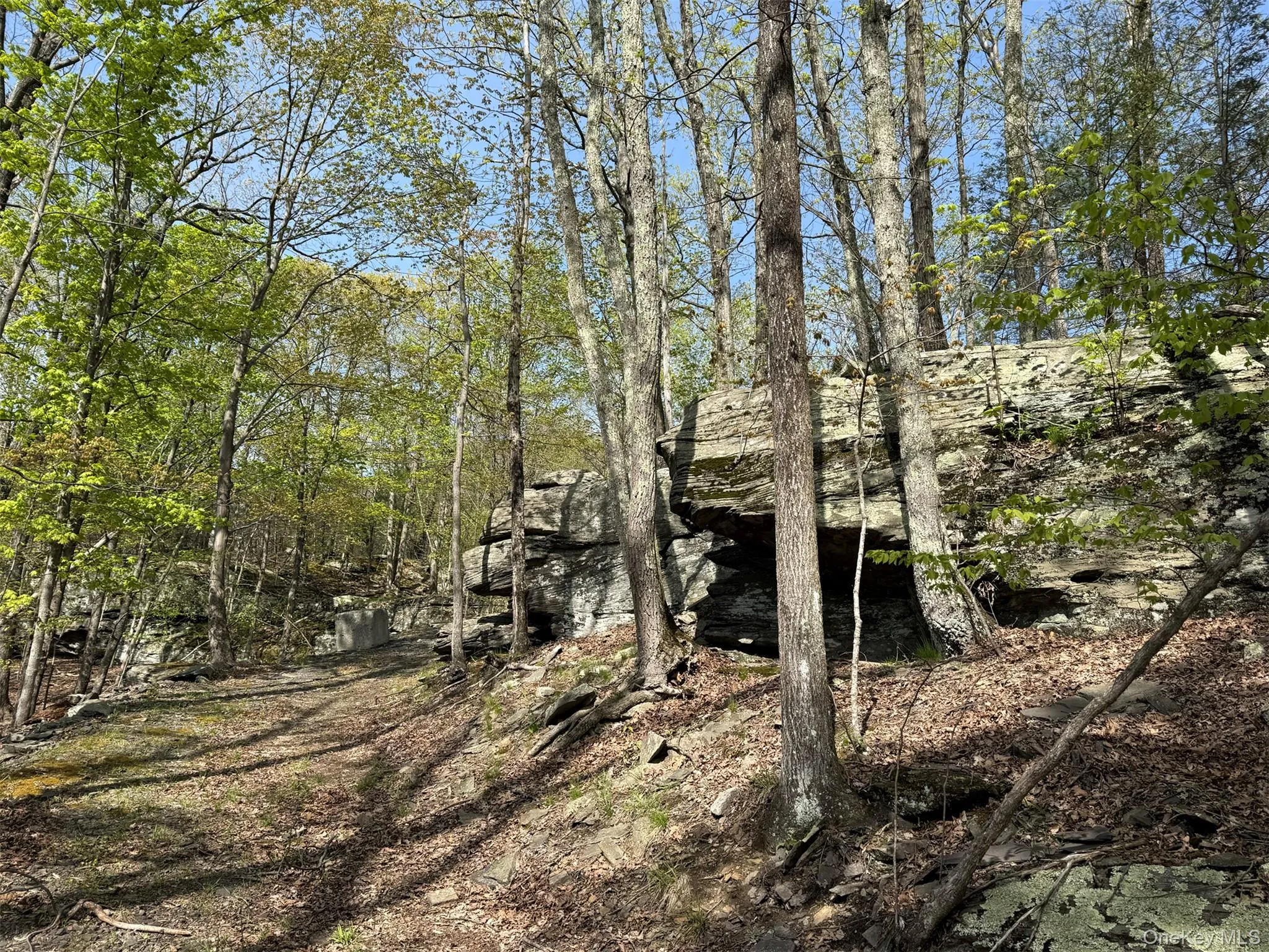 21 Ori's View Drive, Saugerties, NY, 4 Bedrooms Bedrooms, 12 Rooms Rooms,5 BathroomsBathrooms,Residential,For Rent,Ori's View,0,989855 21 Ori's View Drive, Saugerties, NY, 4 Bedrooms Bedrooms, 12 Rooms Rooms,5 BathroomsBathrooms,Residential,For Rent,Ori's View,0,989855