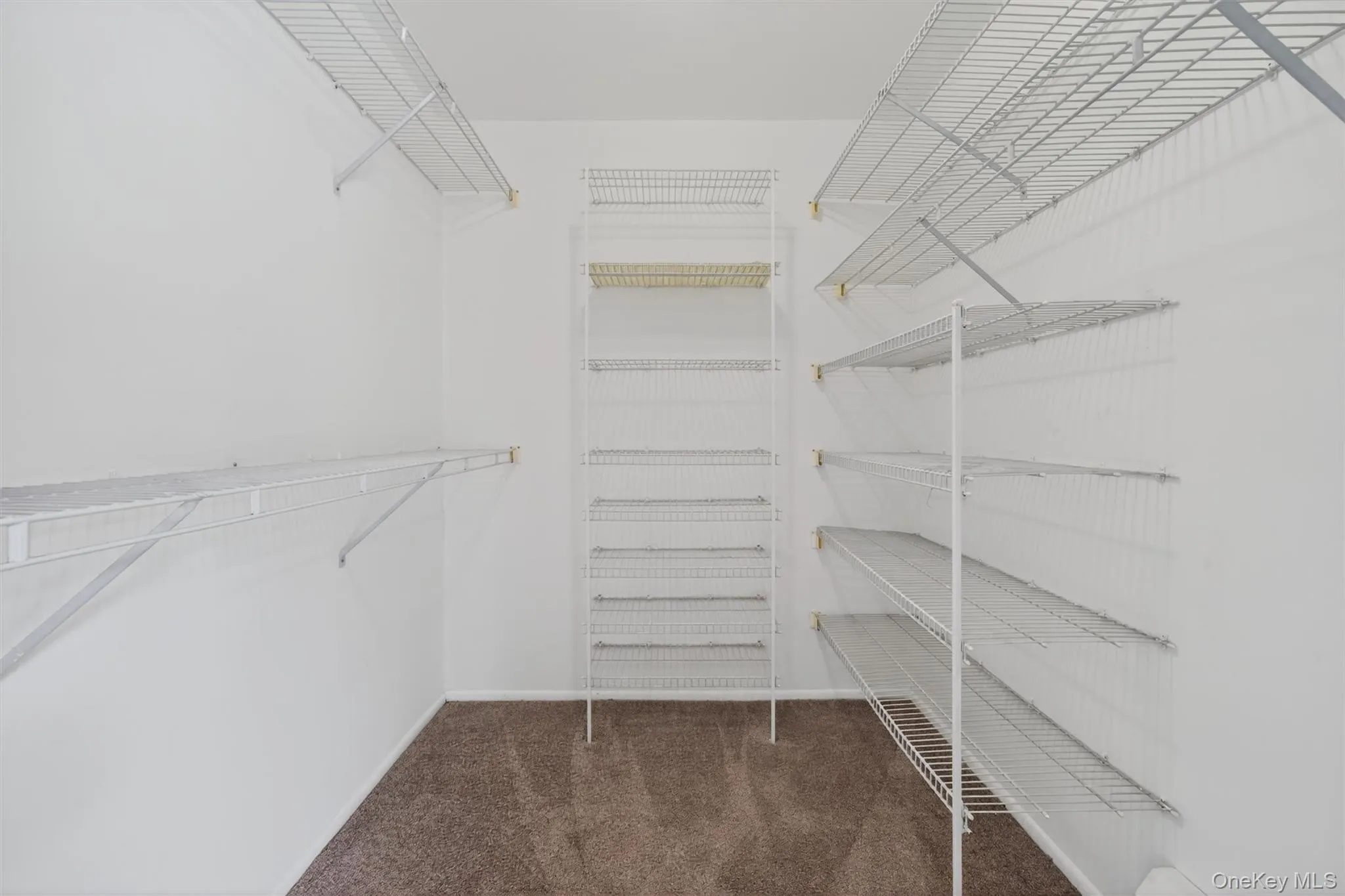 31 Doxbury Lane, Ramapo, NY, 1 Bedroom Bedrooms, 4 Rooms Rooms,1 BathroomBathrooms,Residential Lease,For Rent,Doxbury,0,989866 31 Doxbury Lane, Ramapo, NY, 1 Bedroom Bedrooms, 4 Rooms Rooms,1 BathroomBathrooms,Residential Lease,For Rent,Doxbury,0,989866