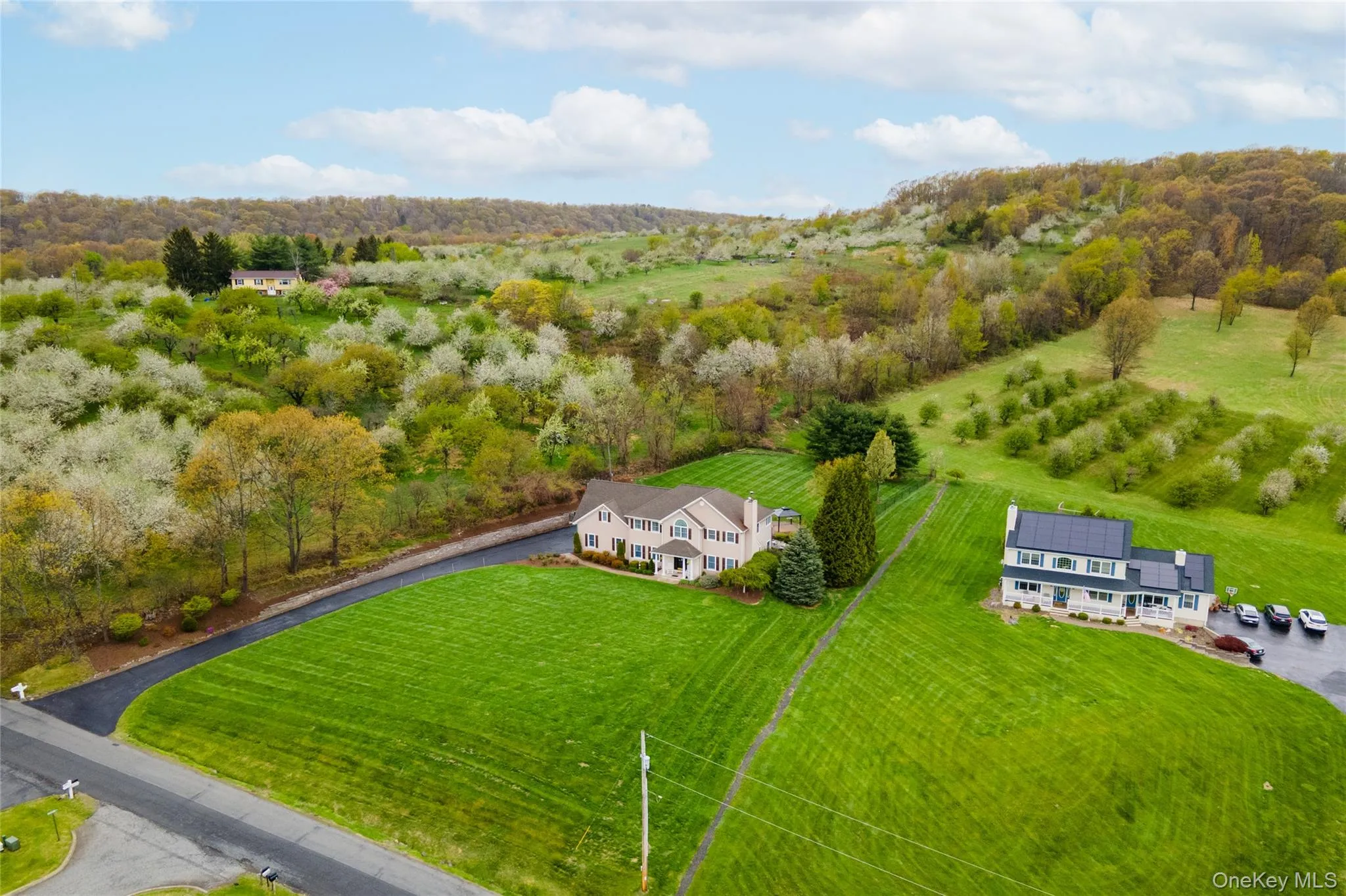 Expansive property featuring two distinct residences, a manicured lawn, and mature trees Expansive property featuring two distinct residences, a manicured lawn, and mature trees