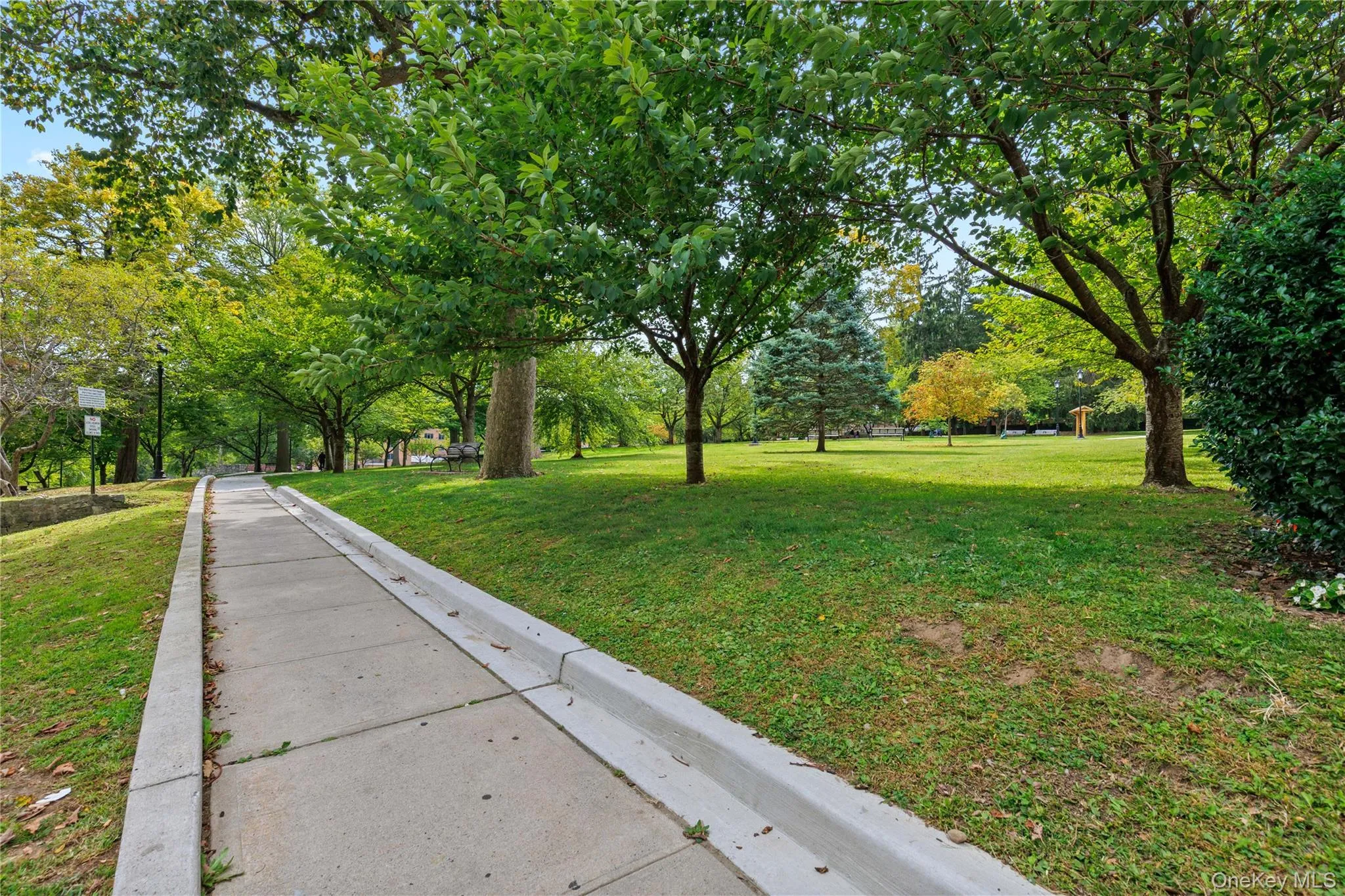 Park Park