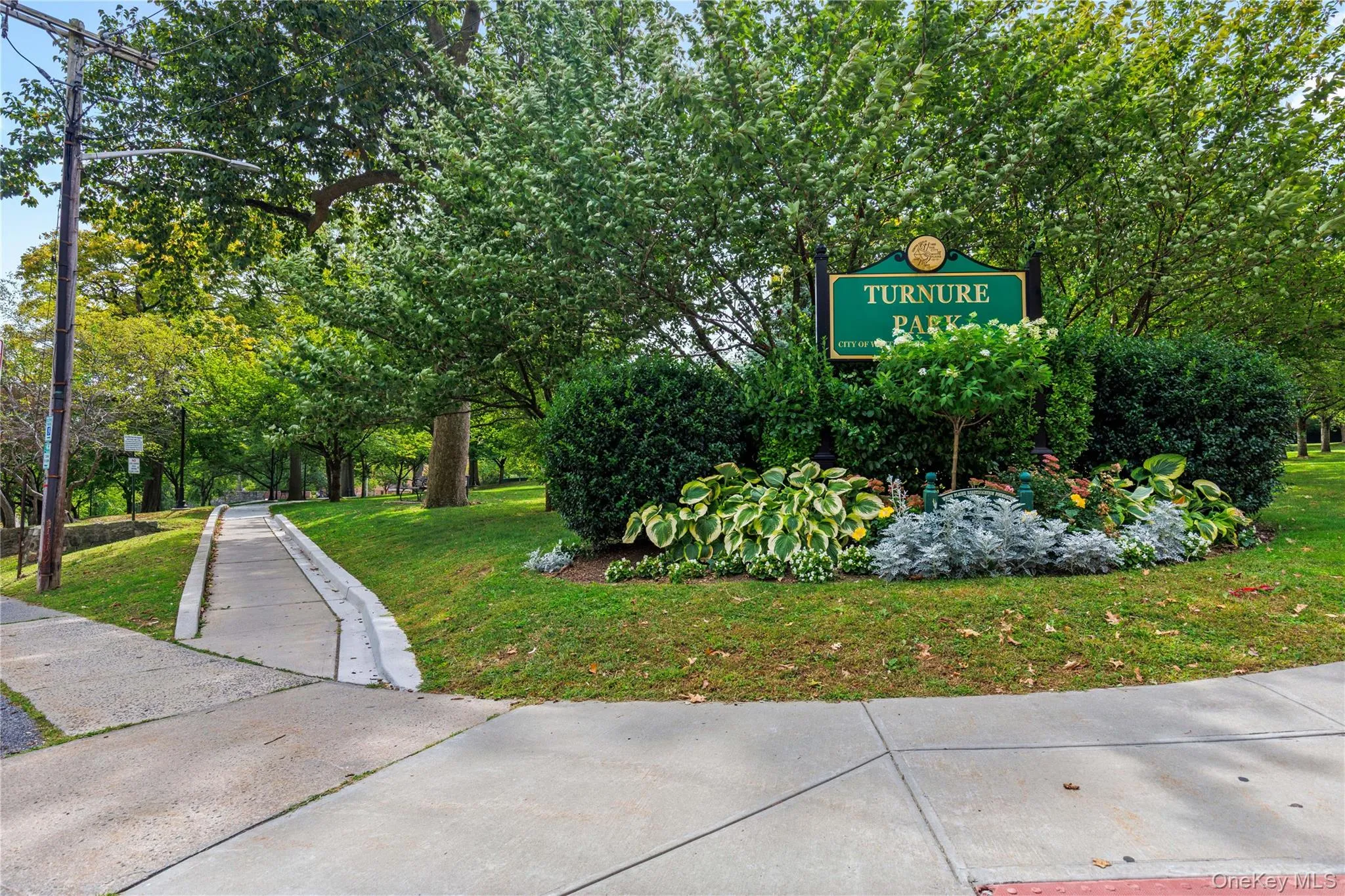 Park Park