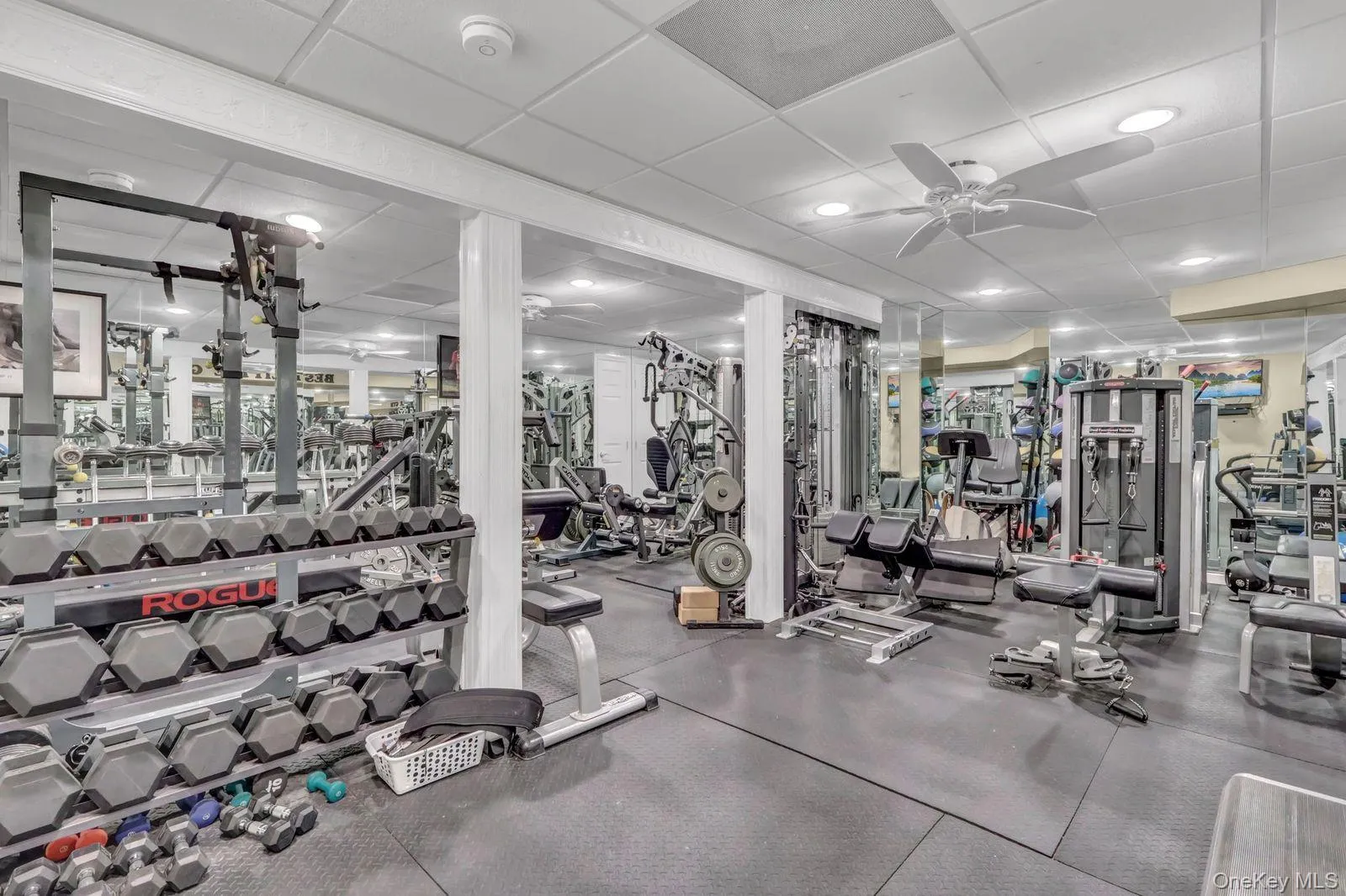 Professional Home Gym that is included Professional Home Gym that is included