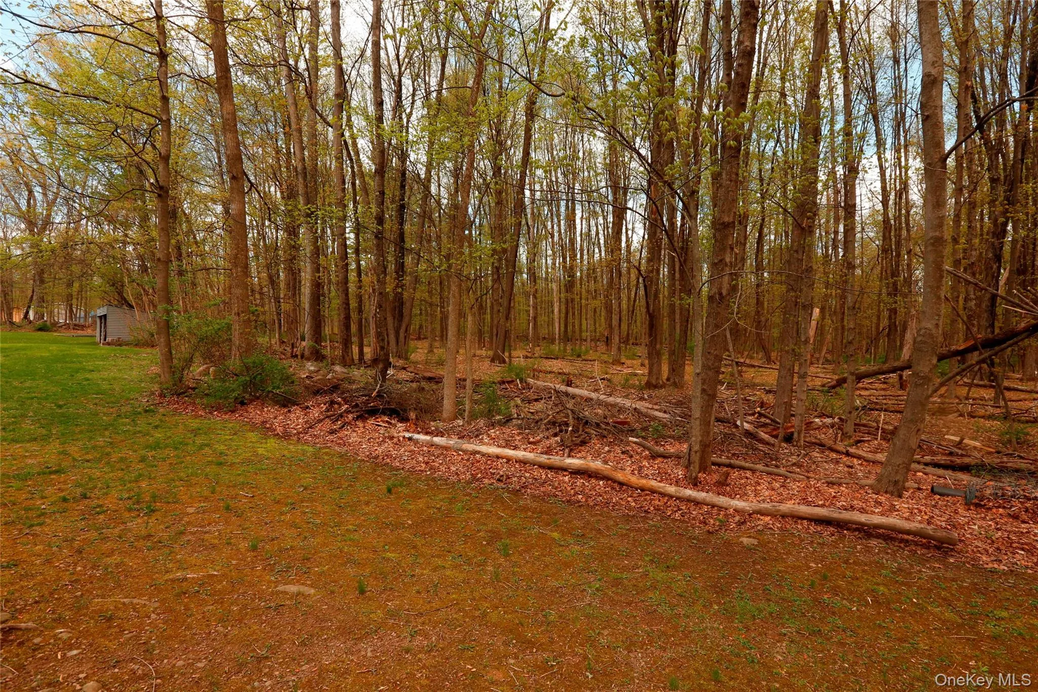 650 Granite Road, Rochester, NY, 4 Bedrooms Bedrooms, 11 Rooms Rooms,2 BathroomsBathrooms,Residential,For Rent,Granite,0,990017 650 Granite Road, Rochester, NY, 4 Bedrooms Bedrooms, 11 Rooms Rooms,2 BathroomsBathrooms,Residential,For Rent,Granite,0,990017
