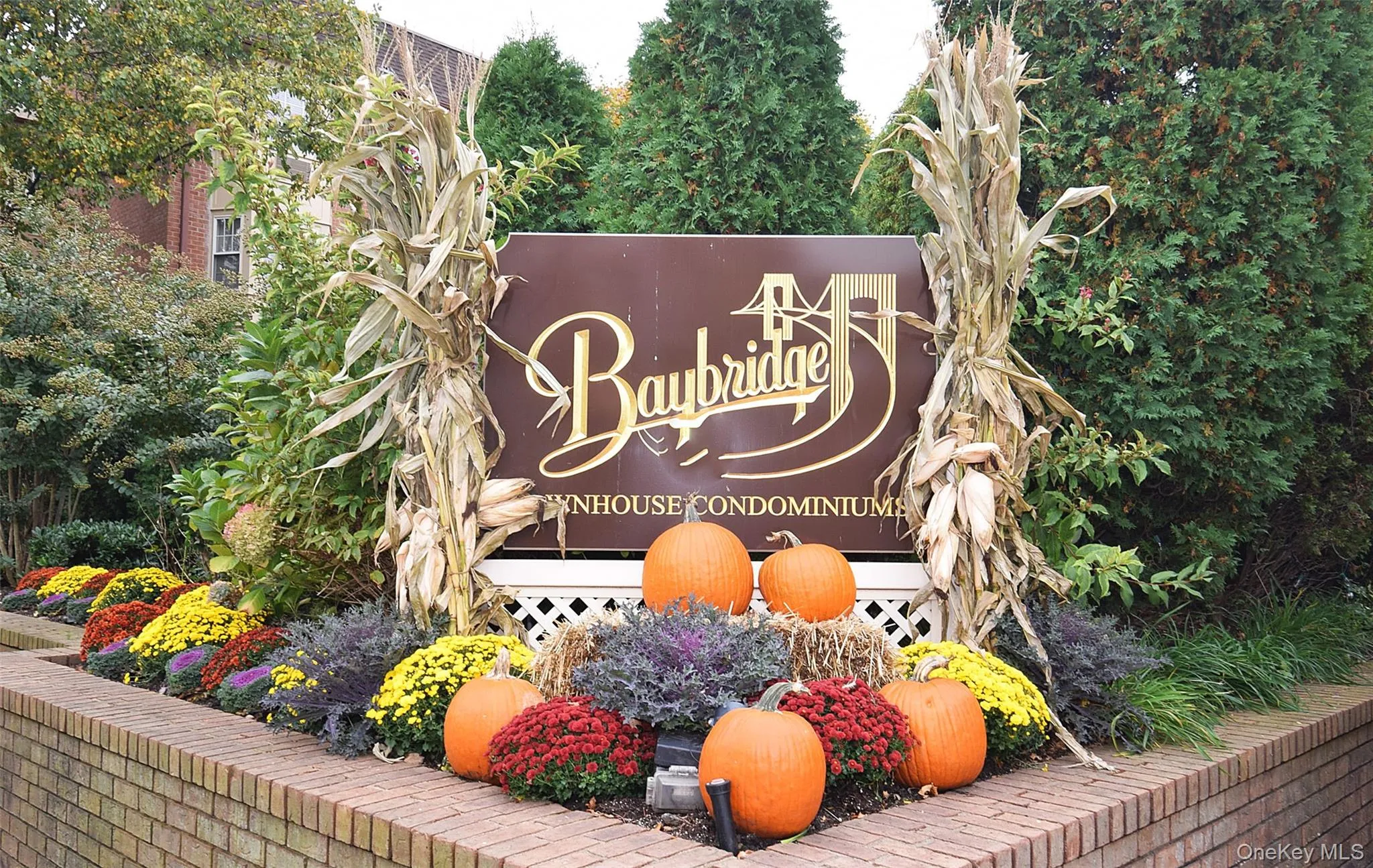 207-25 Darren Drive, New York, NY, 1 Bedroom Bedrooms, 4 Rooms Rooms,1 BathroomBathrooms,Residential Lease,For Rent,Darren,0,990049 207-25 Darren Drive, New York, NY, 1 Bedroom Bedrooms, 4 Rooms Rooms,1 BathroomBathrooms,Residential Lease,For Rent,Darren,0,990049