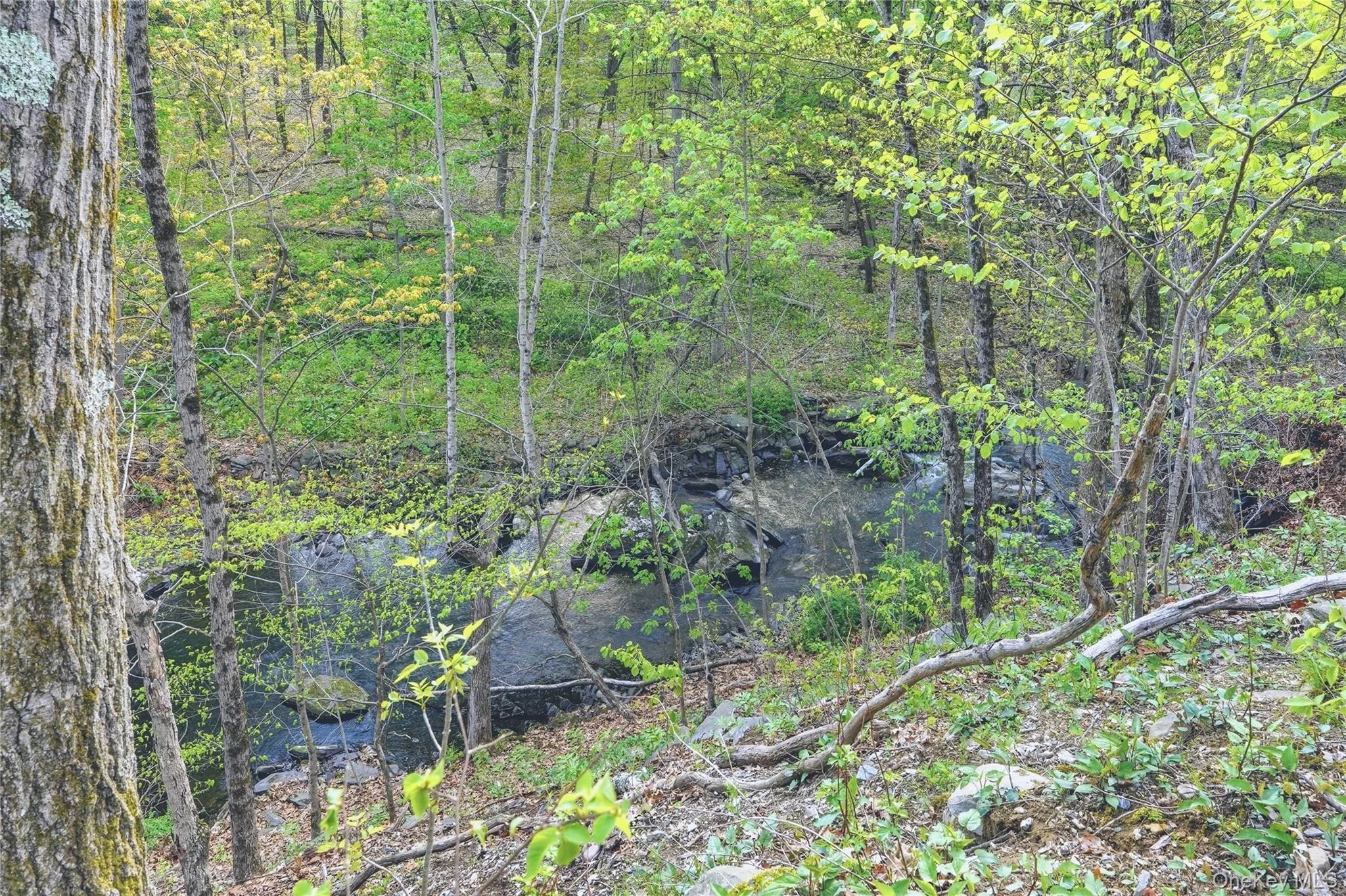 A beautiful creek winds gently through the landscape, its clear water glistening as it flows over smooth stones. Lined with mature trees, the setting feels peaceful and secluded, with branches stretching overhead to create a soft, natural canopy. A beautiful creek winds gently through the landscape, its clear water glistening as it flows over smooth stones. Lined with mature trees, the setting feels peaceful and secluded, with branches stretching overhead to create a soft, natural canopy.