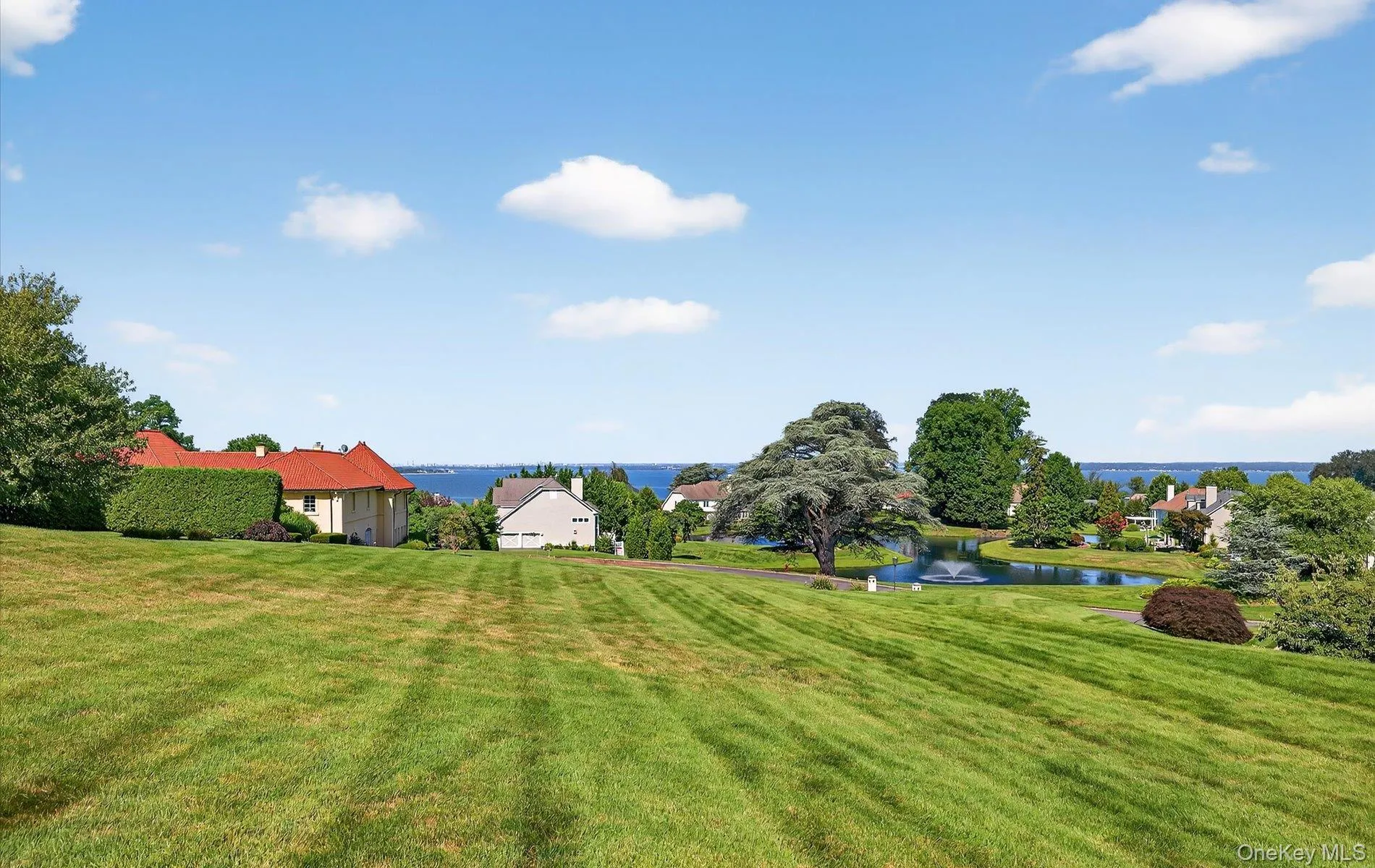 Expansive green lawn with distant water frontage Expansive green lawn with distant water frontage