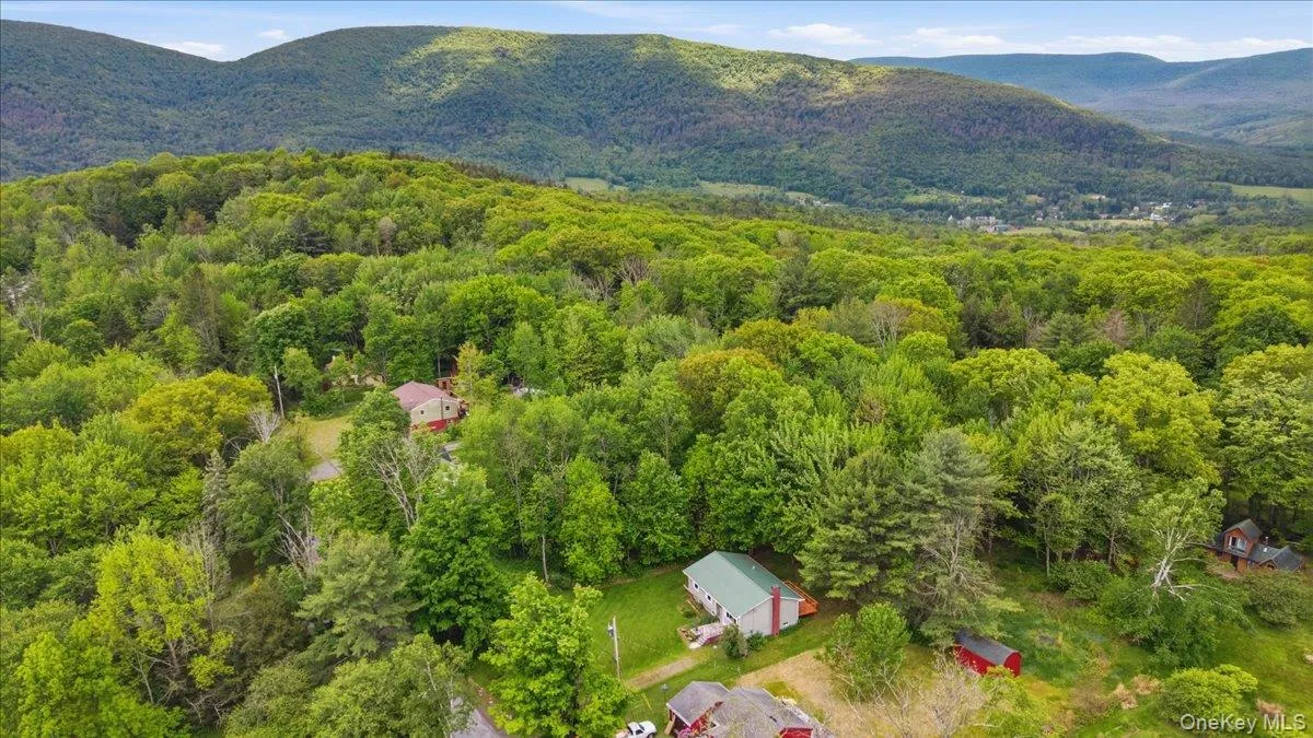 125 Reme Road, Lexington, NY, 3 Bedrooms Bedrooms, 10 Rooms Rooms,1 BathroomBathrooms,Residential,For Rent,Reme,0,990123 125 Reme Road, Lexington, NY, 3 Bedrooms Bedrooms, 10 Rooms Rooms,1 BathroomBathrooms,Residential,For Rent,Reme,0,990123