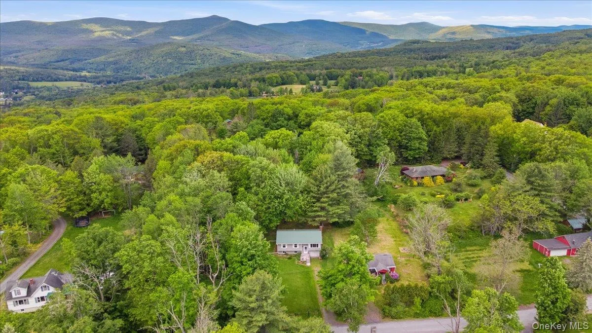 125 Reme Road, Lexington, NY, 3 Bedrooms Bedrooms, 10 Rooms Rooms,1 BathroomBathrooms,Residential,For Rent,Reme,0,990123 125 Reme Road, Lexington, NY, 3 Bedrooms Bedrooms, 10 Rooms Rooms,1 BathroomBathrooms,Residential,For Rent,Reme,0,990123