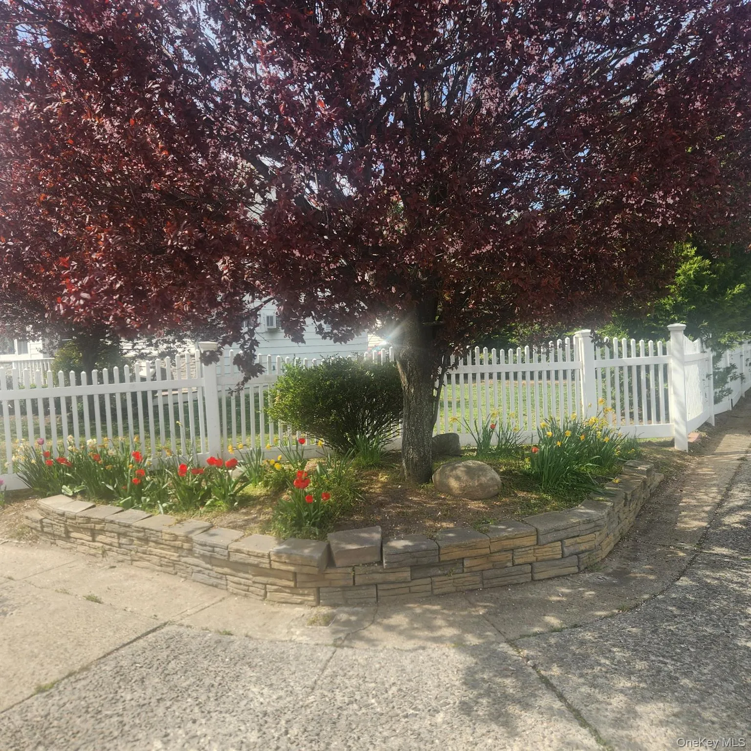 30 Montgomery Avenue, Hempstead, NY, 4 Bedrooms Bedrooms, 6 Rooms Rooms,2 BathroomsBathrooms,Residential Lease,For Rent,Montgomery,0,990170 30 Montgomery Avenue, Hempstead, NY, 4 Bedrooms Bedrooms, 6 Rooms Rooms,2 BathroomsBathrooms,Residential Lease,For Rent,Montgomery,0,990170
