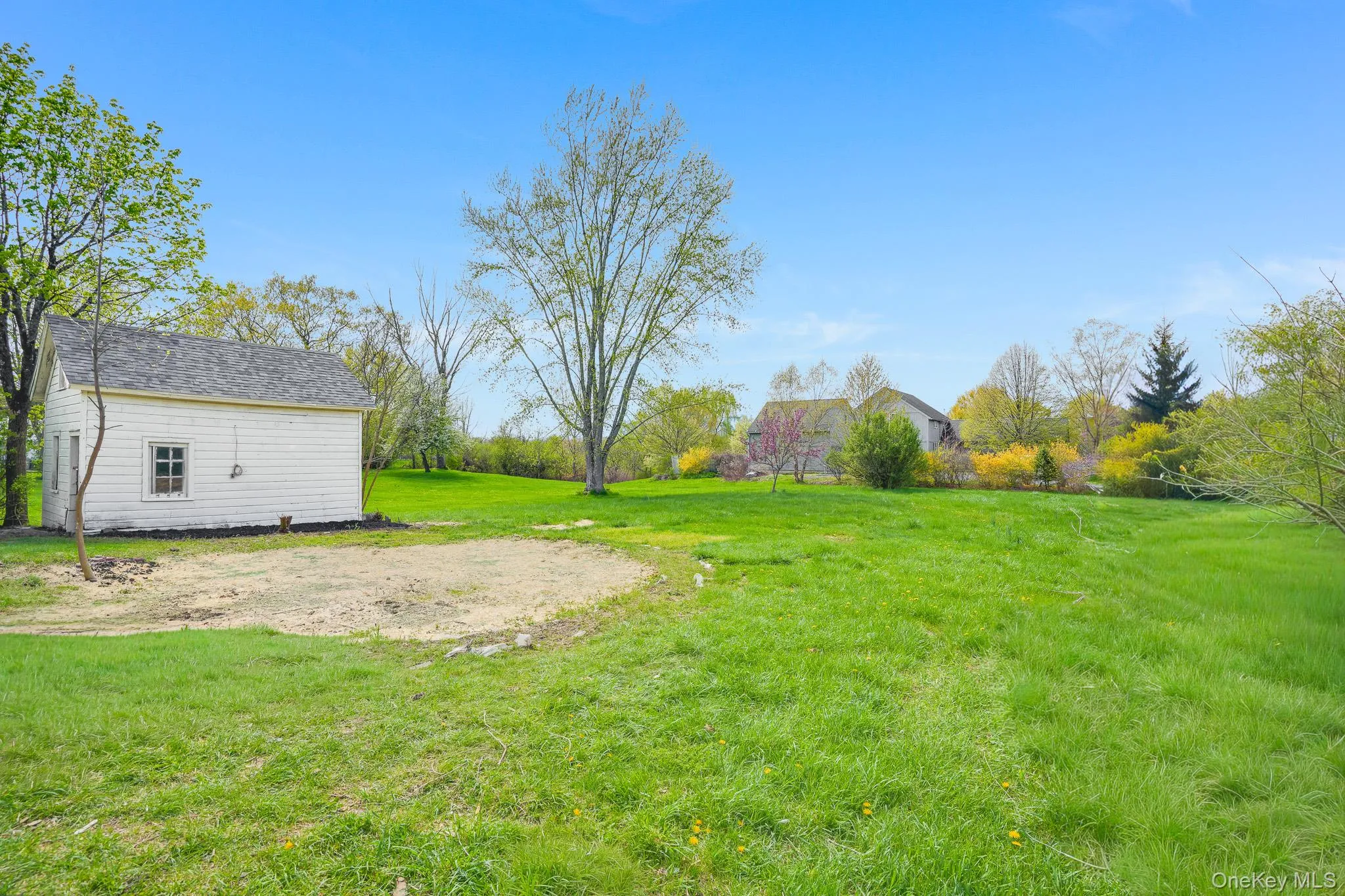 Large backyard. Large backyard.