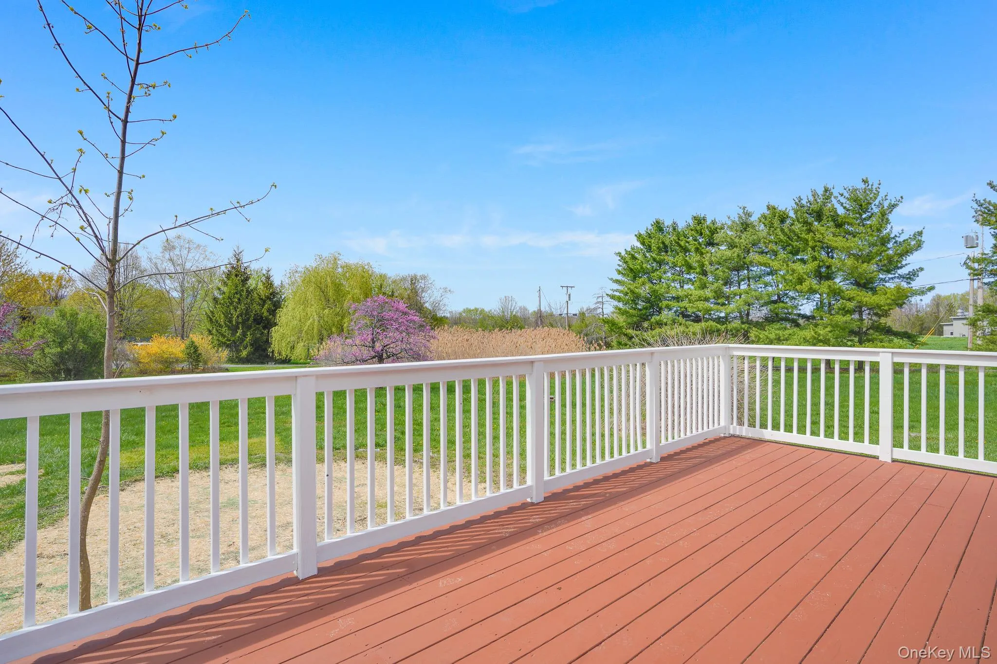 Deck. Deck.