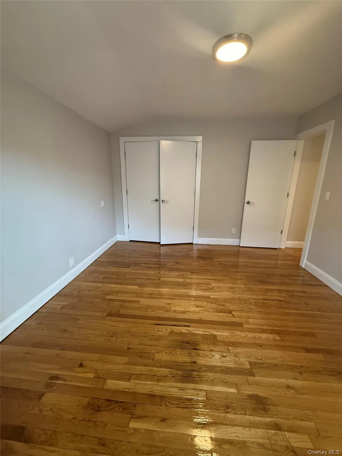 Expansive room featuring lustrous wood-finish flooring, neutral wall tones, white baseboards, and two solid core doors Expansive room featuring lustrous wood-finish flooring, neutral wall tones, white baseboards, and two solid core doors