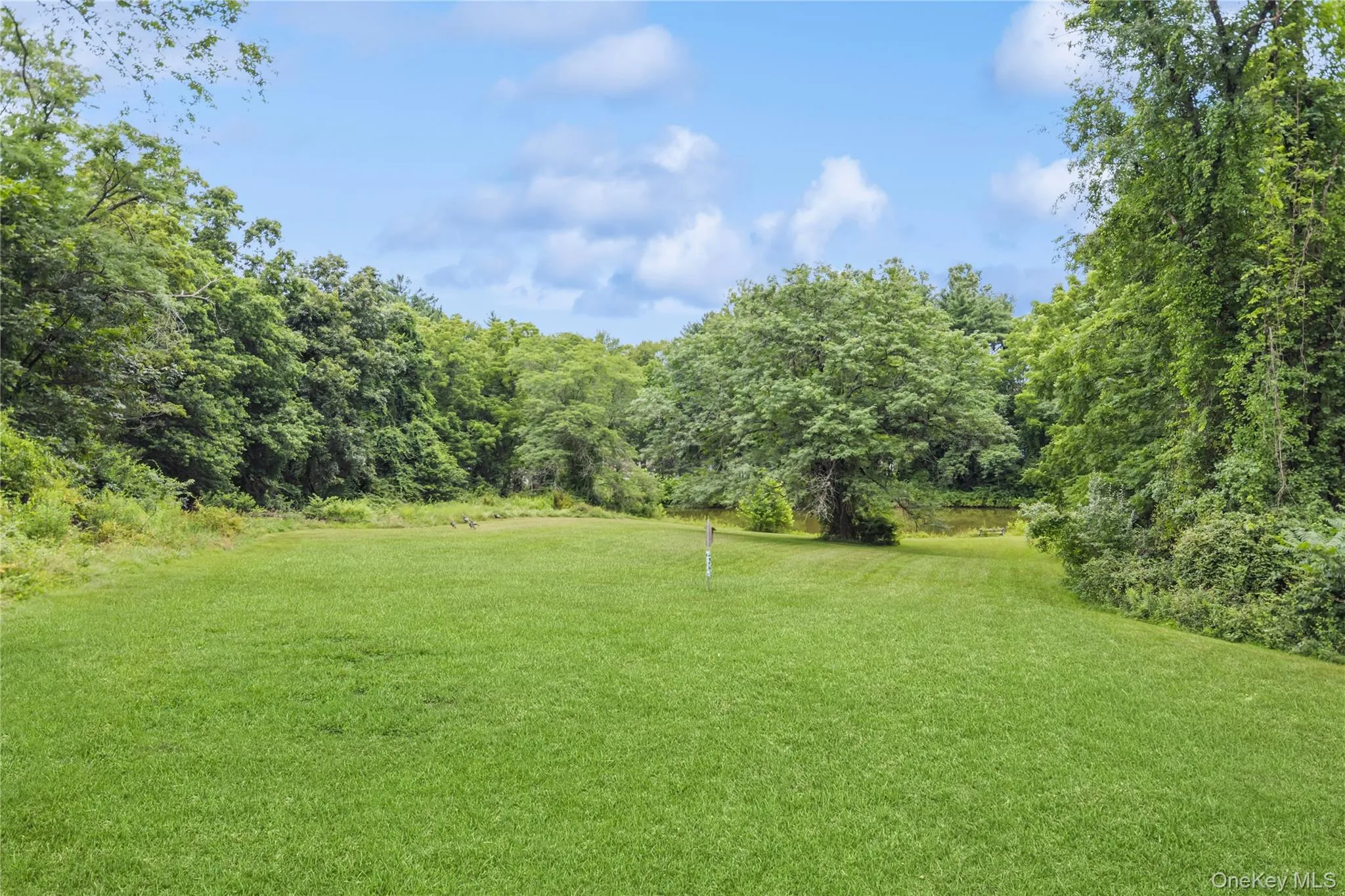 View of grassy yard featuring a view of trees View of grassy yard featuring a view of trees
