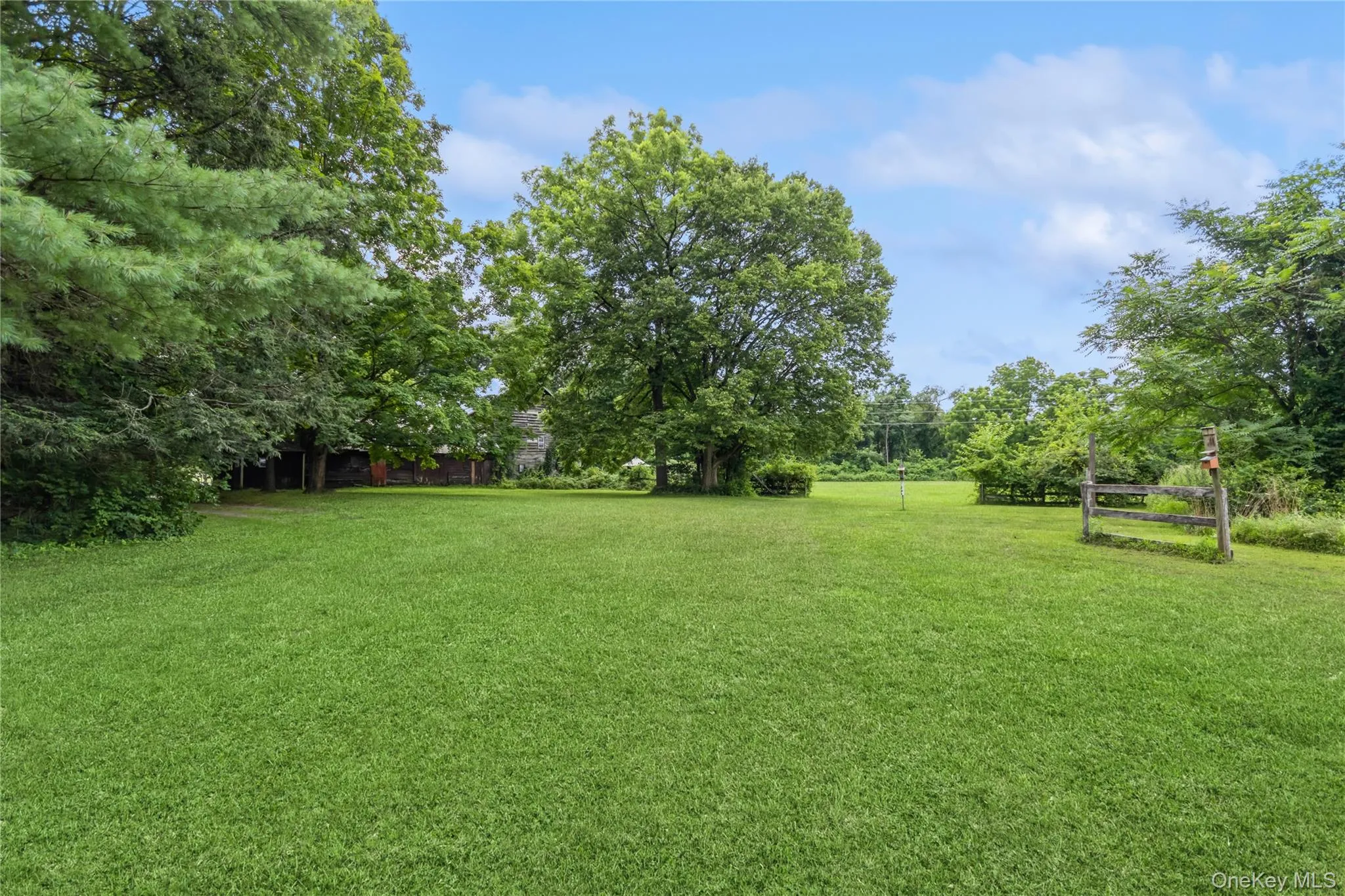View of grassy yard with view of scattered trees View of grassy yard with view of scattered trees