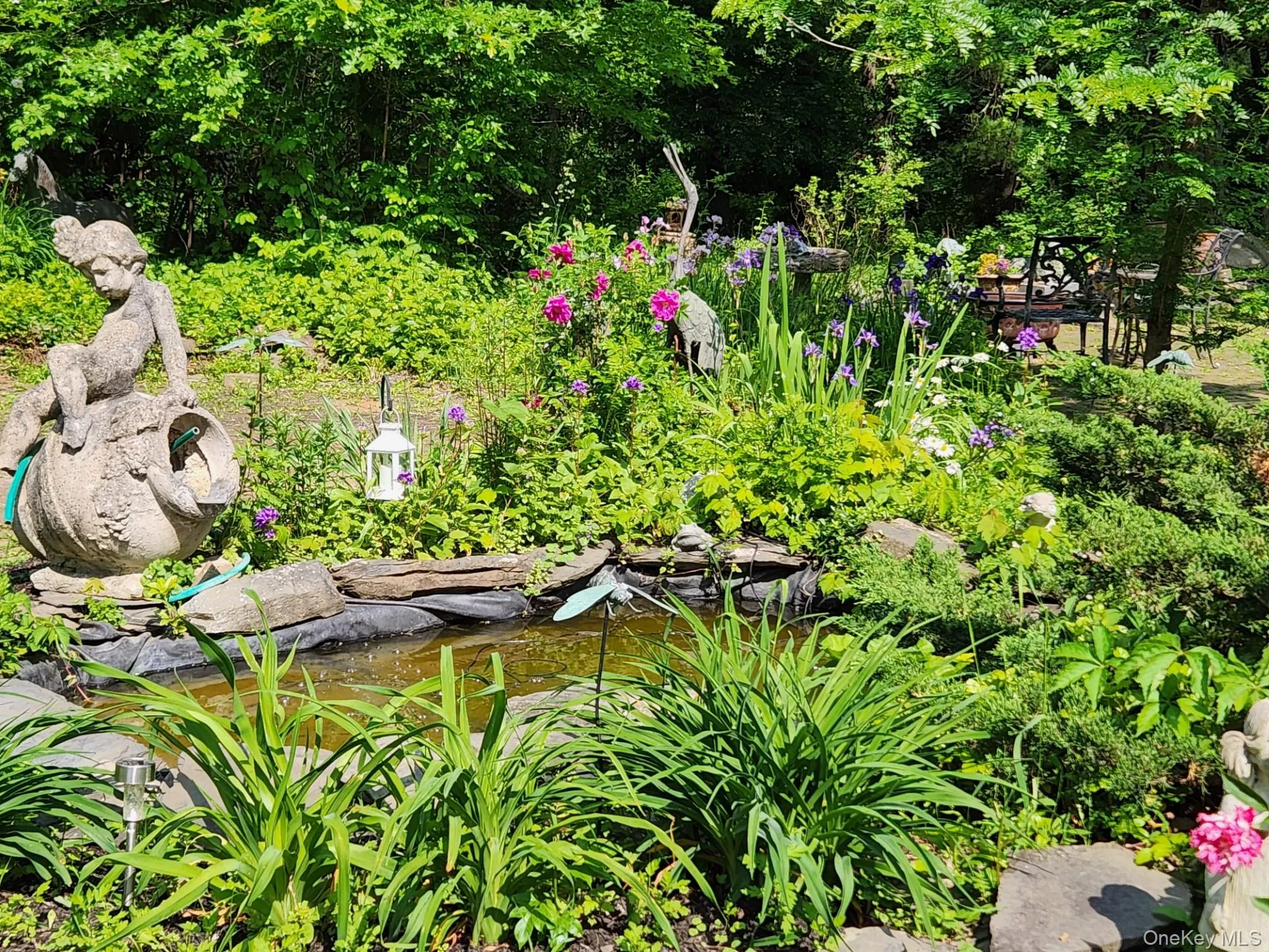 Small pond by patio area Small pond by patio area