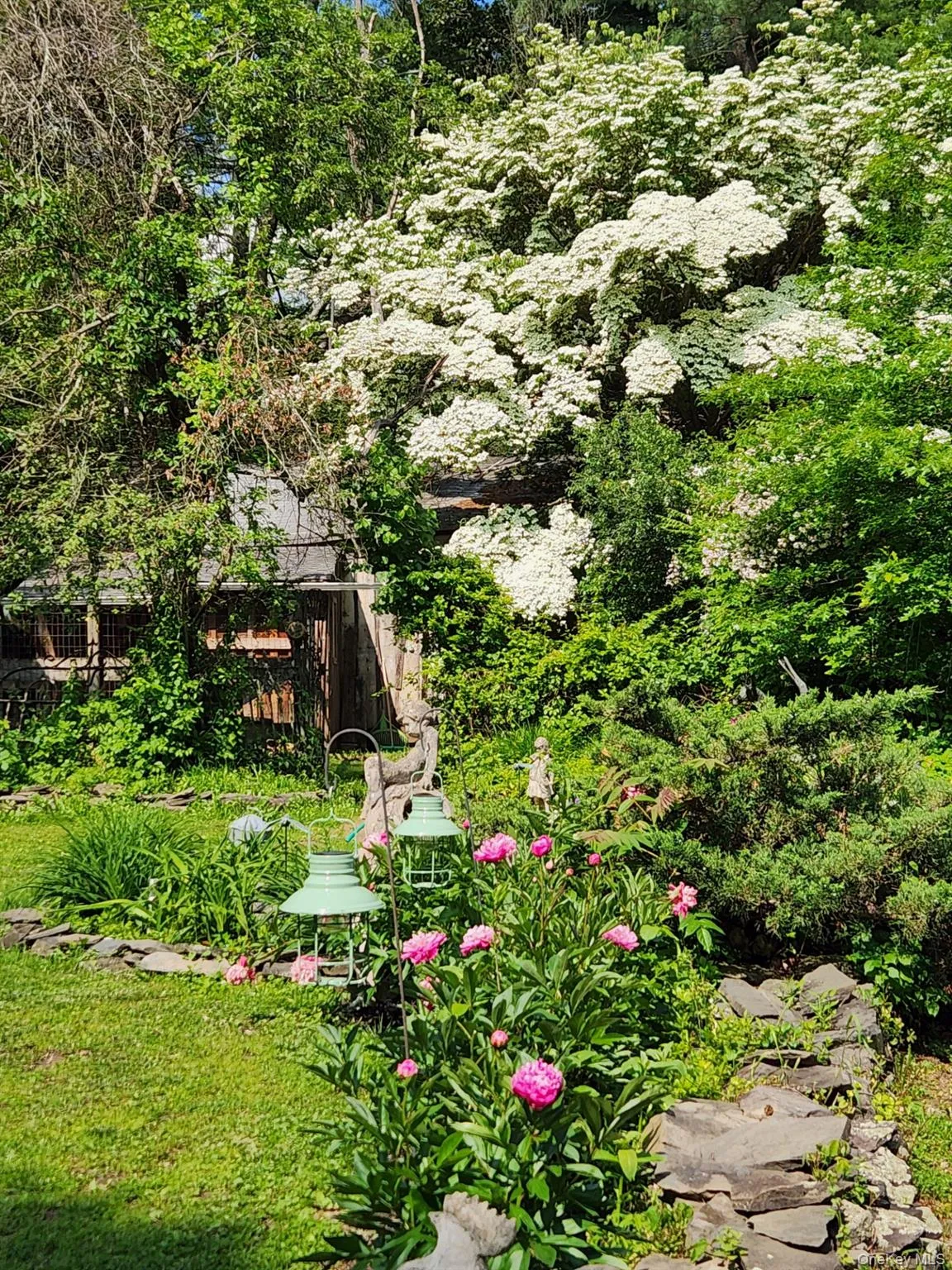 View of yard, flowering perennials. View of yard, flowering perennials.