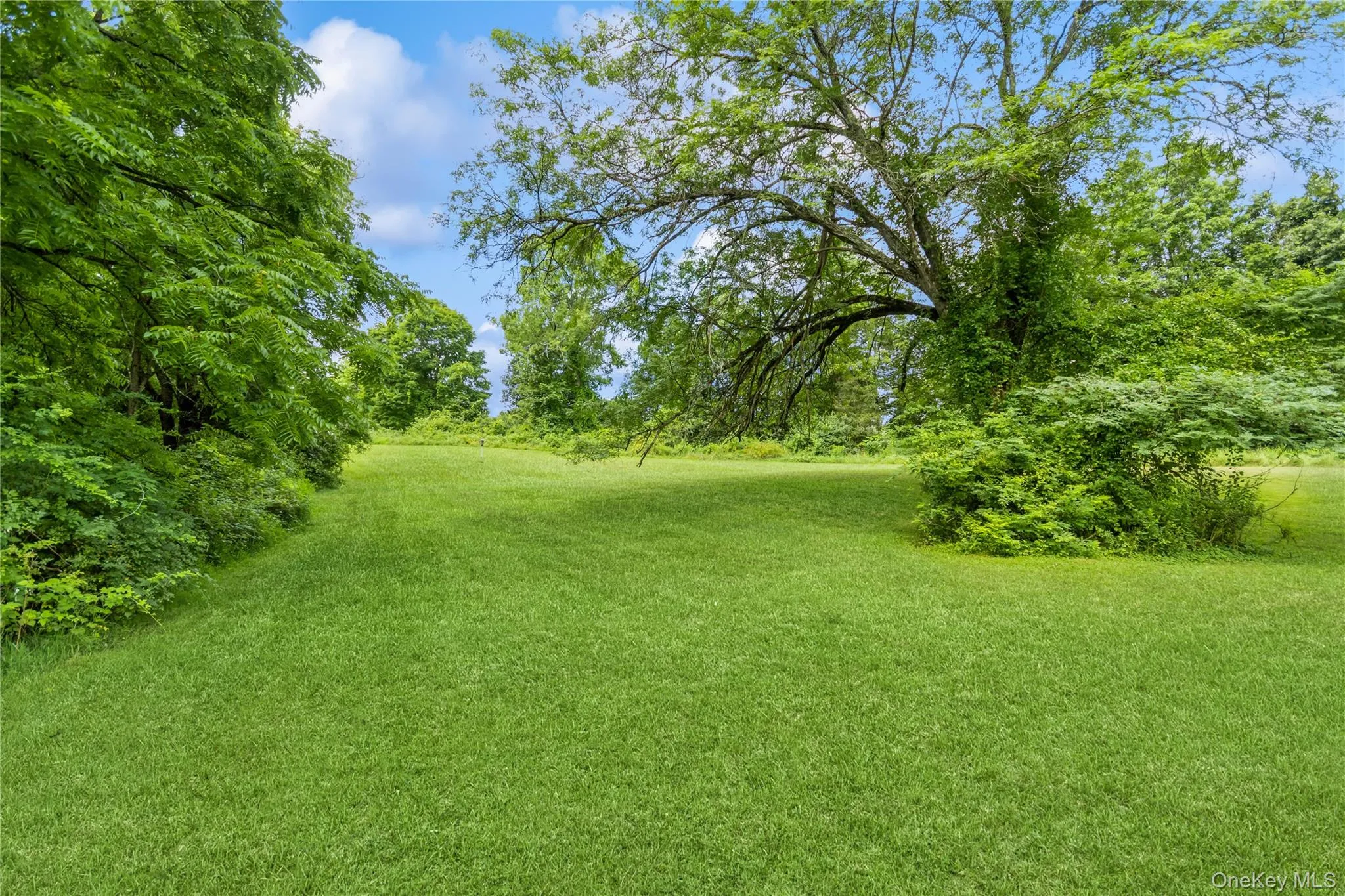 View of original pasture area View of original pasture area