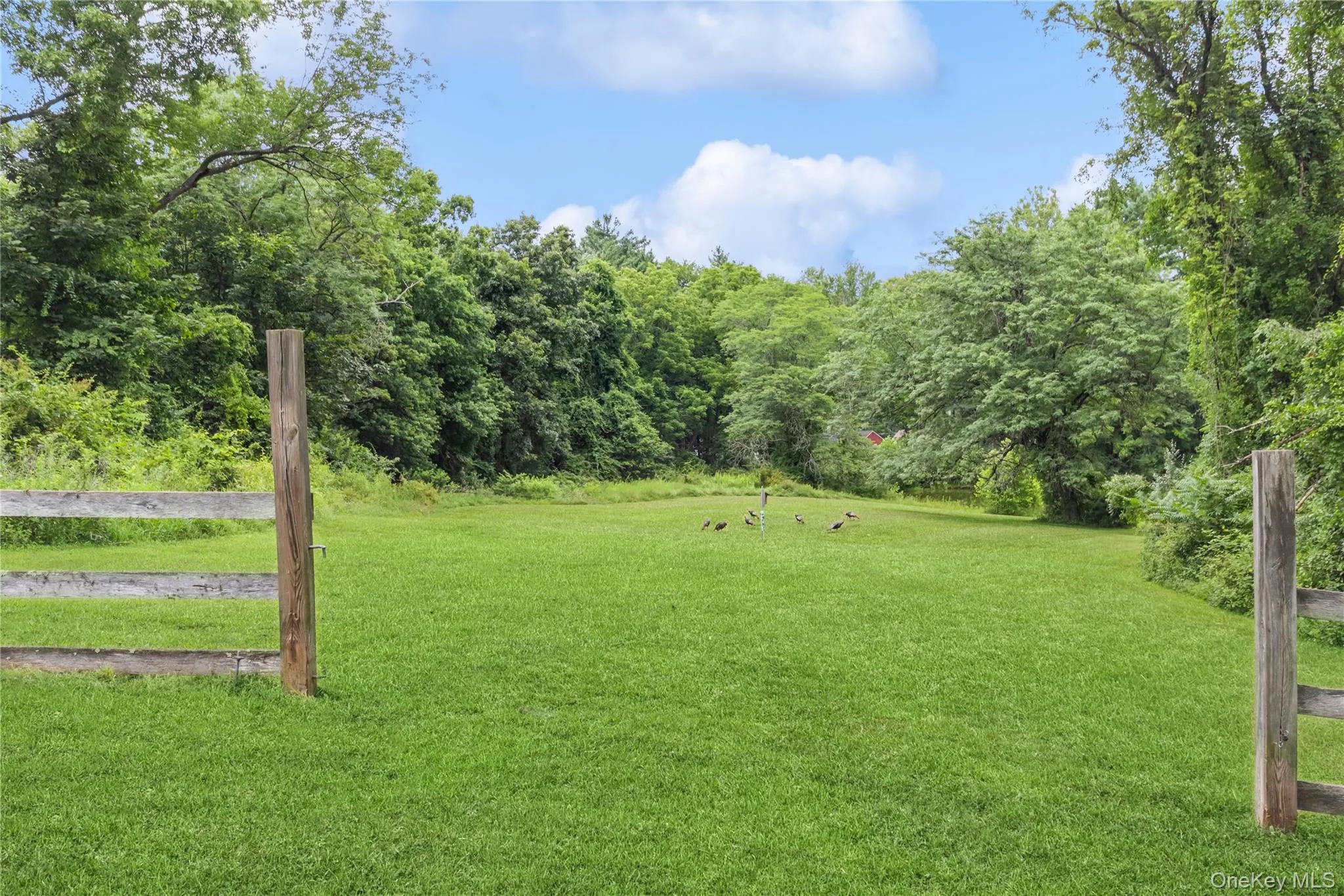 7.7 acres. possible horse property, pasture area, partial wood fencing 7.7 acres. possible horse property, pasture area, partial wood fencing