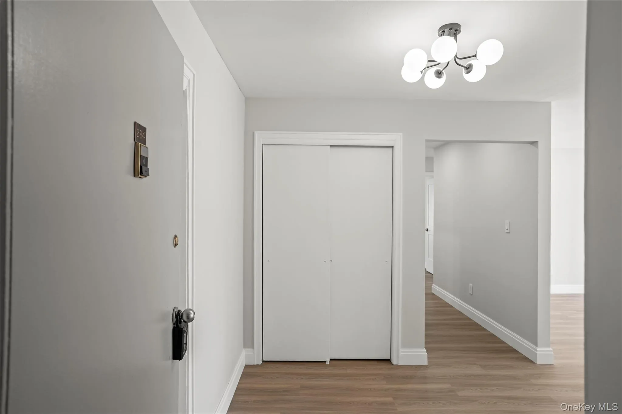 Entryway featuring wood-finish flooring, a modern semi-flush mount light fixture Entryway featuring wood-finish flooring, a modern semi-flush mount light fixture