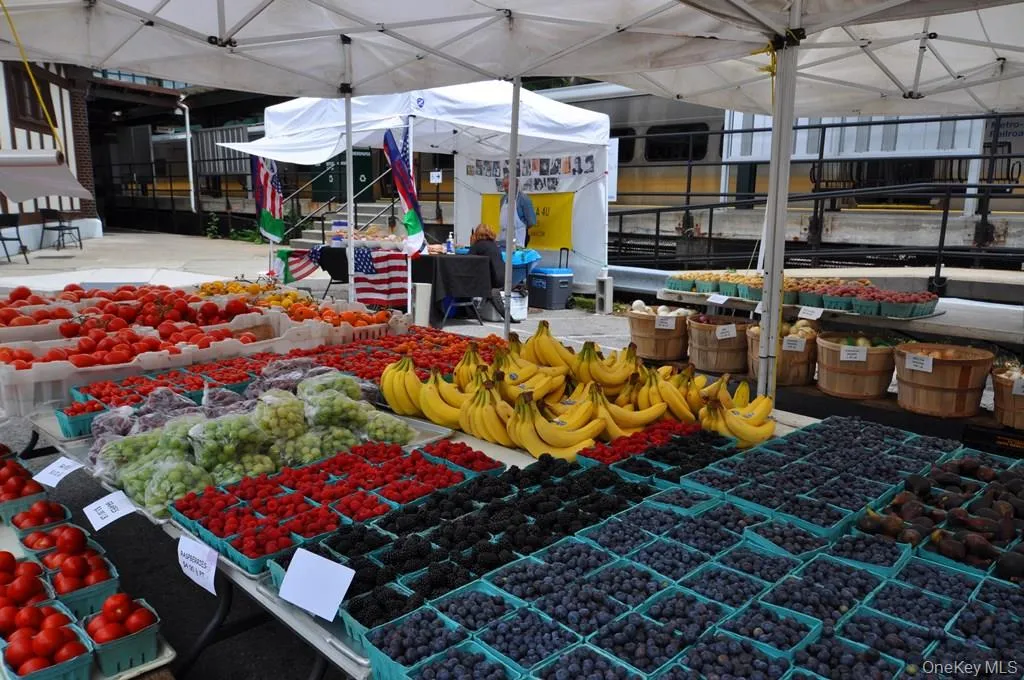 Enjoy the best a farmer’s market has to offer from June thru November located right at the Hartsdale train station. Enjoy the best a farmer’s market has to offer from June thru November located right at the Hartsdale train station.