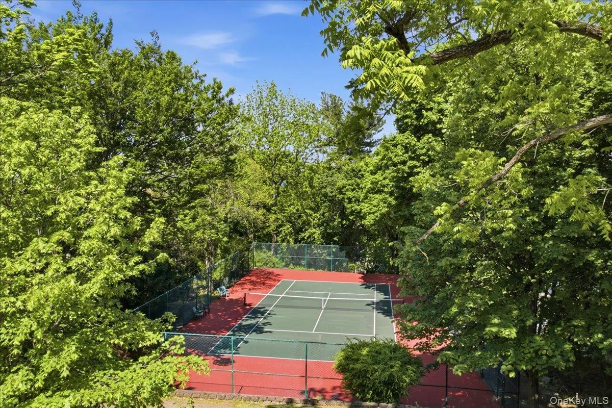 Tennis anyone? Tennis anyone?