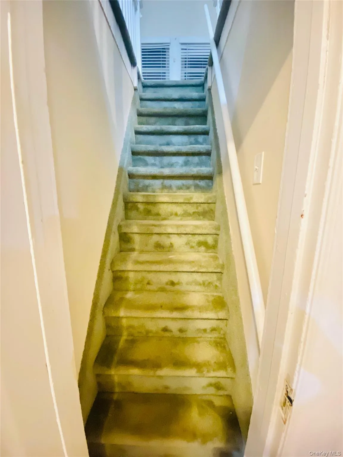 69 Grand Avenue, Hempstead, NY, 2 Bedrooms Bedrooms, 6 Rooms Rooms,2 BathroomsBathrooms,Residential Lease,For Rent,Grand,0,990426 69 Grand Avenue, Hempstead, NY, 2 Bedrooms Bedrooms, 6 Rooms Rooms,2 BathroomsBathrooms,Residential Lease,For Rent,Grand,0,990426